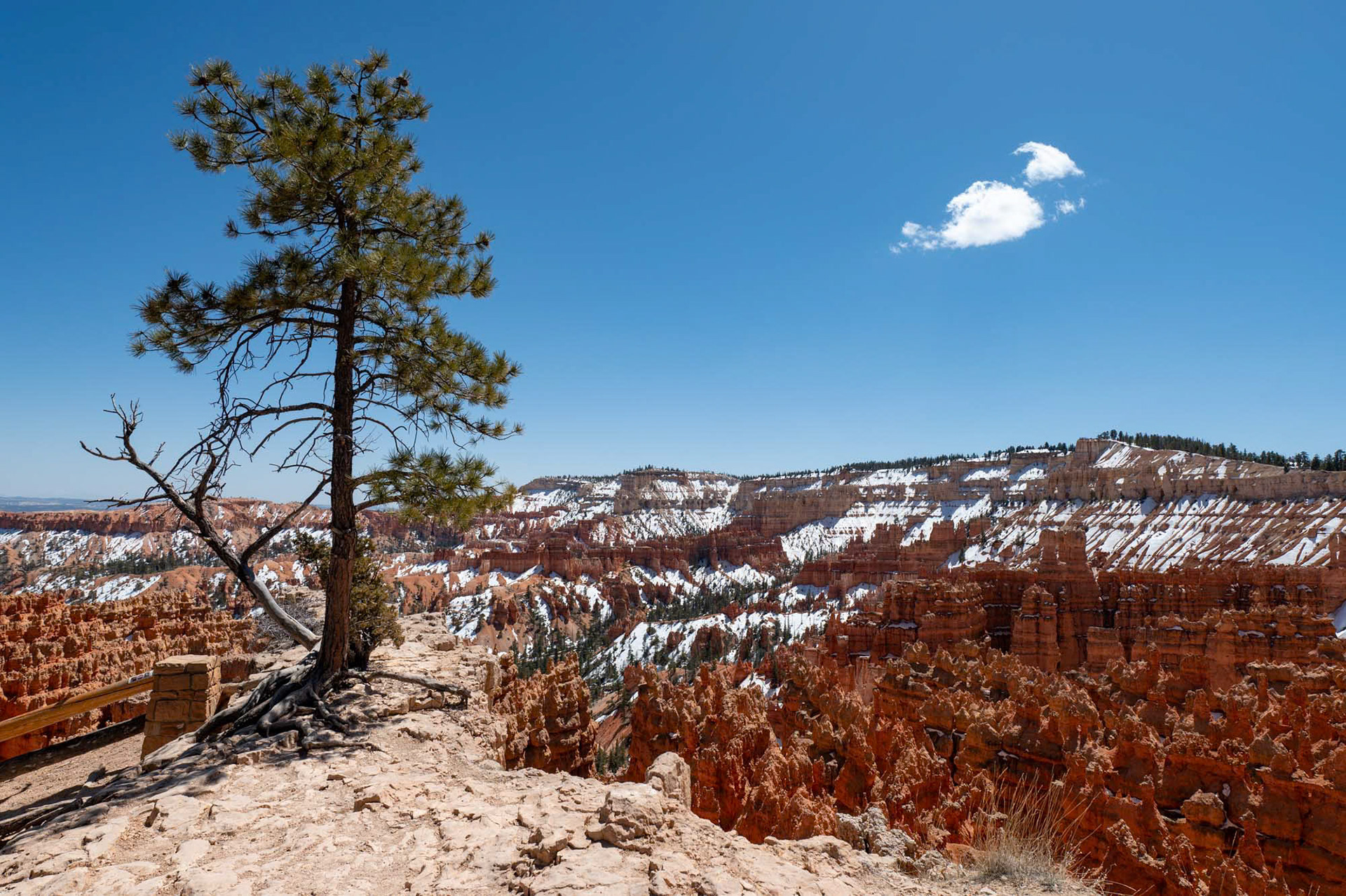 Bryce Canyon National Park - Utah - USA (2024)