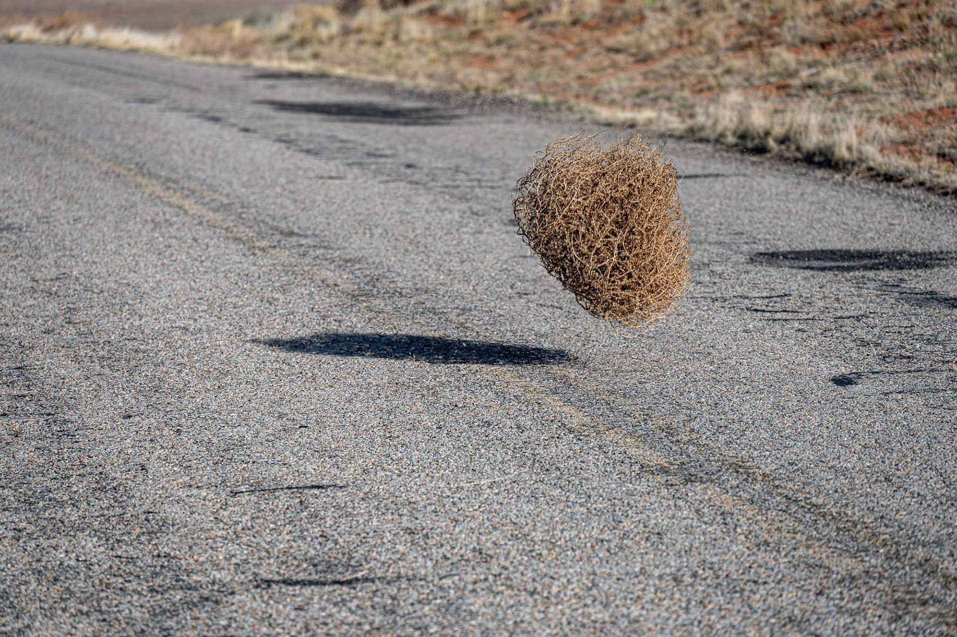 Canyonlands National Park - Utah - USA (2024)