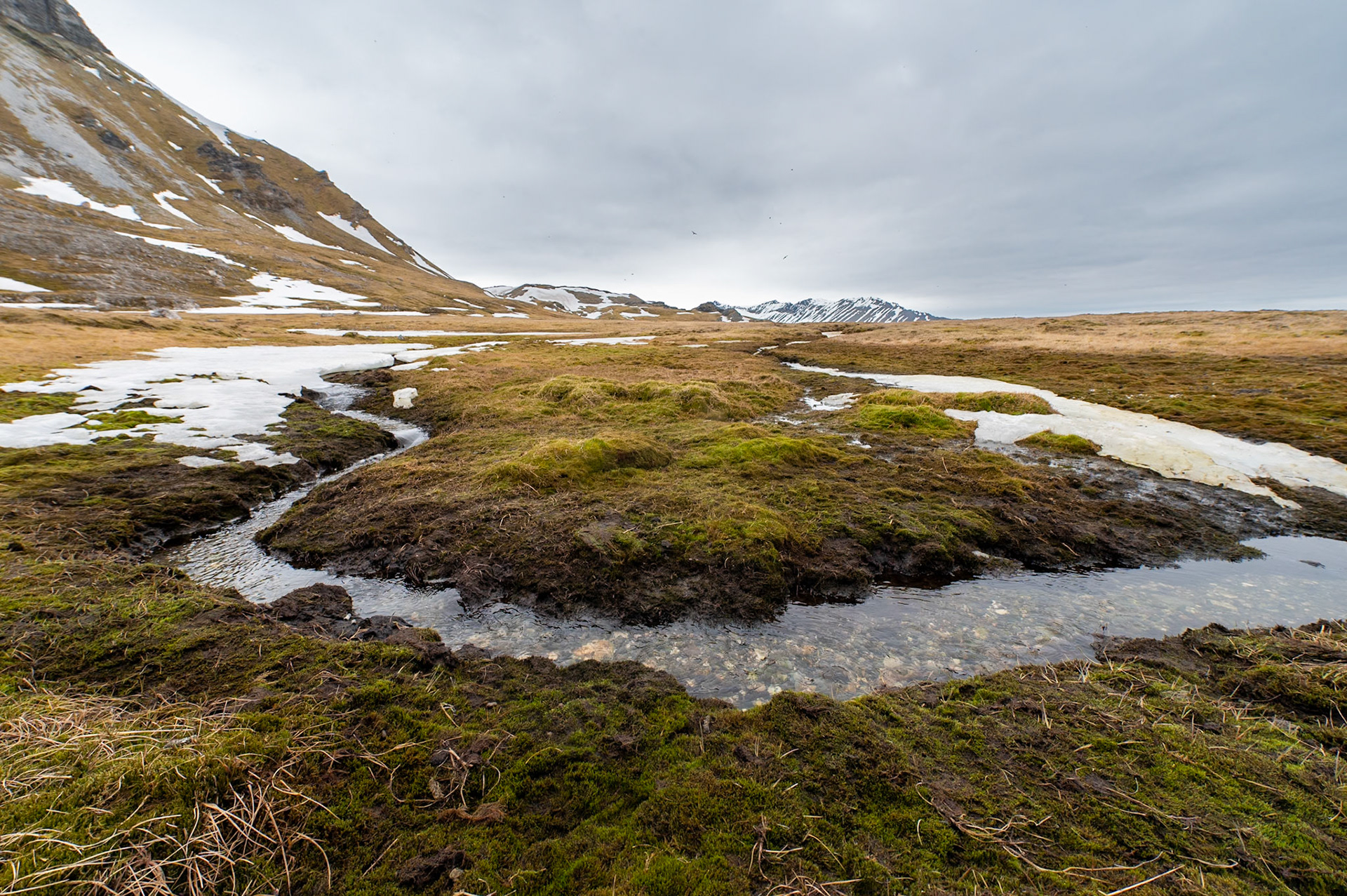 Alkhornet, Spitsbergen, Svalbard