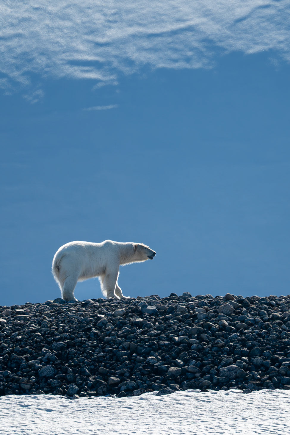 Spitsbergen, Svalbard
