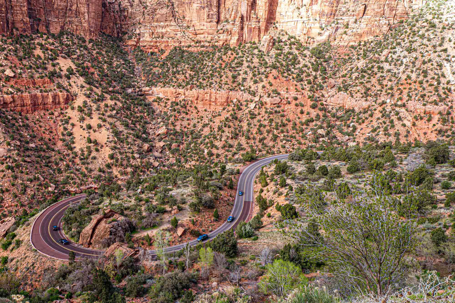 Zion National Park - Utah - USA