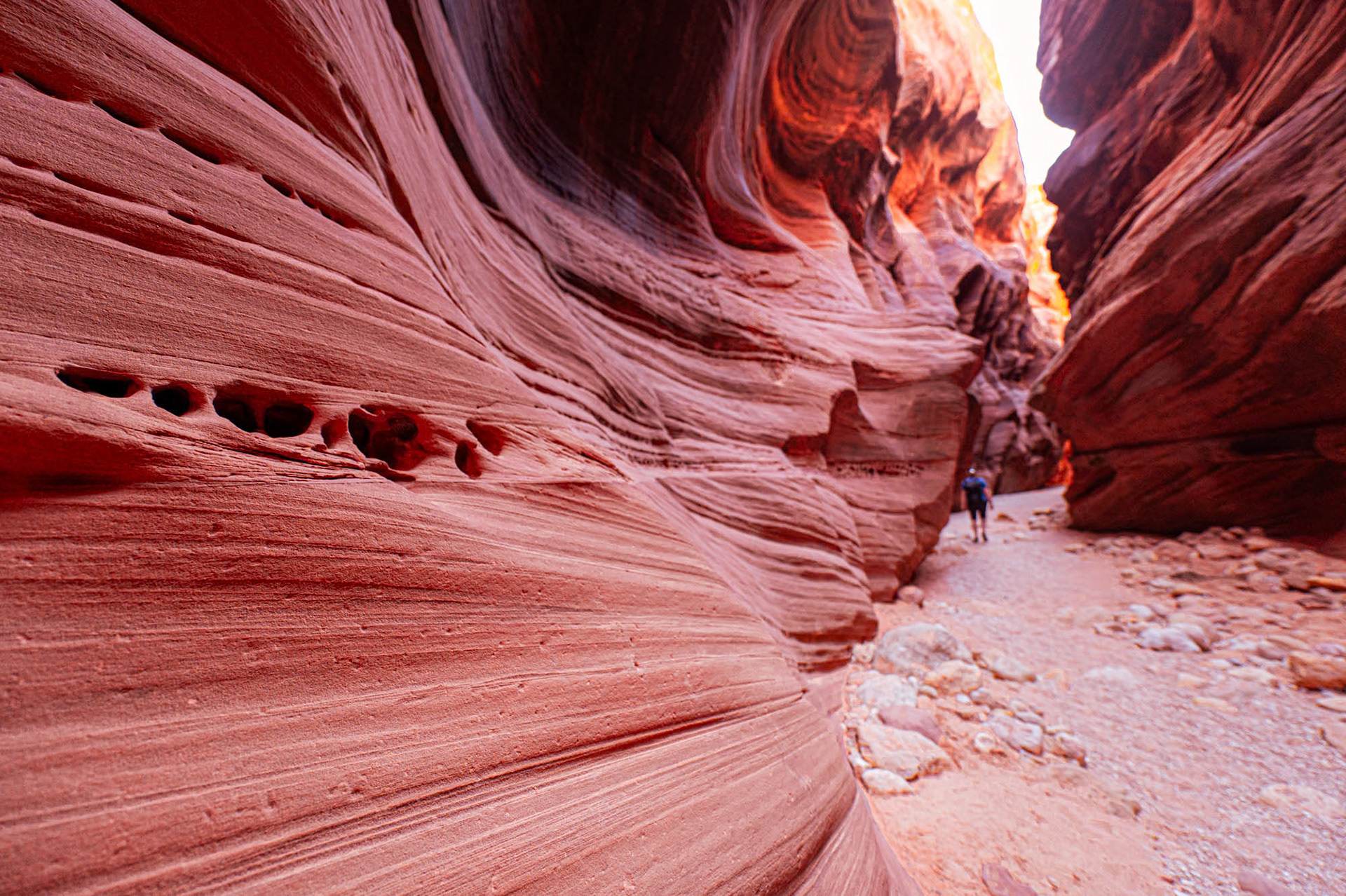 Wire Pass Trailhead - Utah - USA (2024)