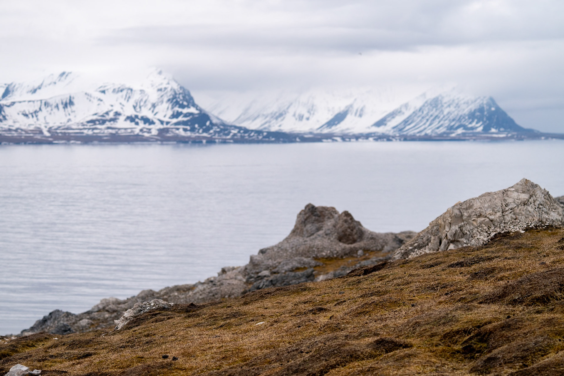 Alkhornet, Spitsbergen, Svalbard