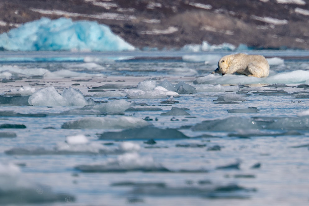 Spitsbergen, Svalbard