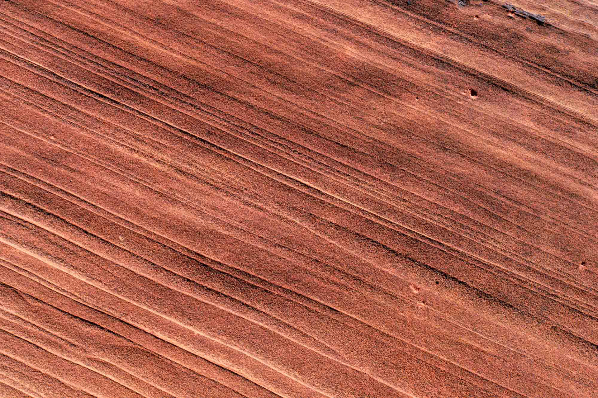 Wire Pass Trailhead - Utah - USA (2024)