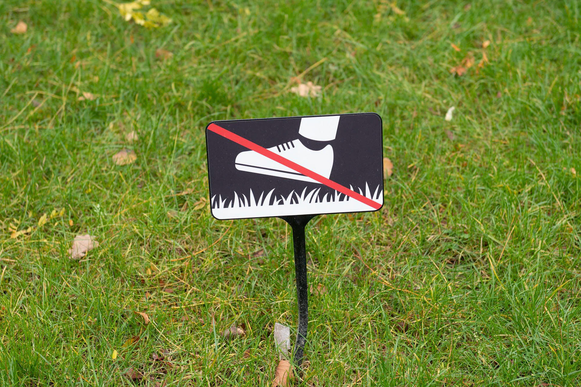 Montmartre - Paris - France (2019)