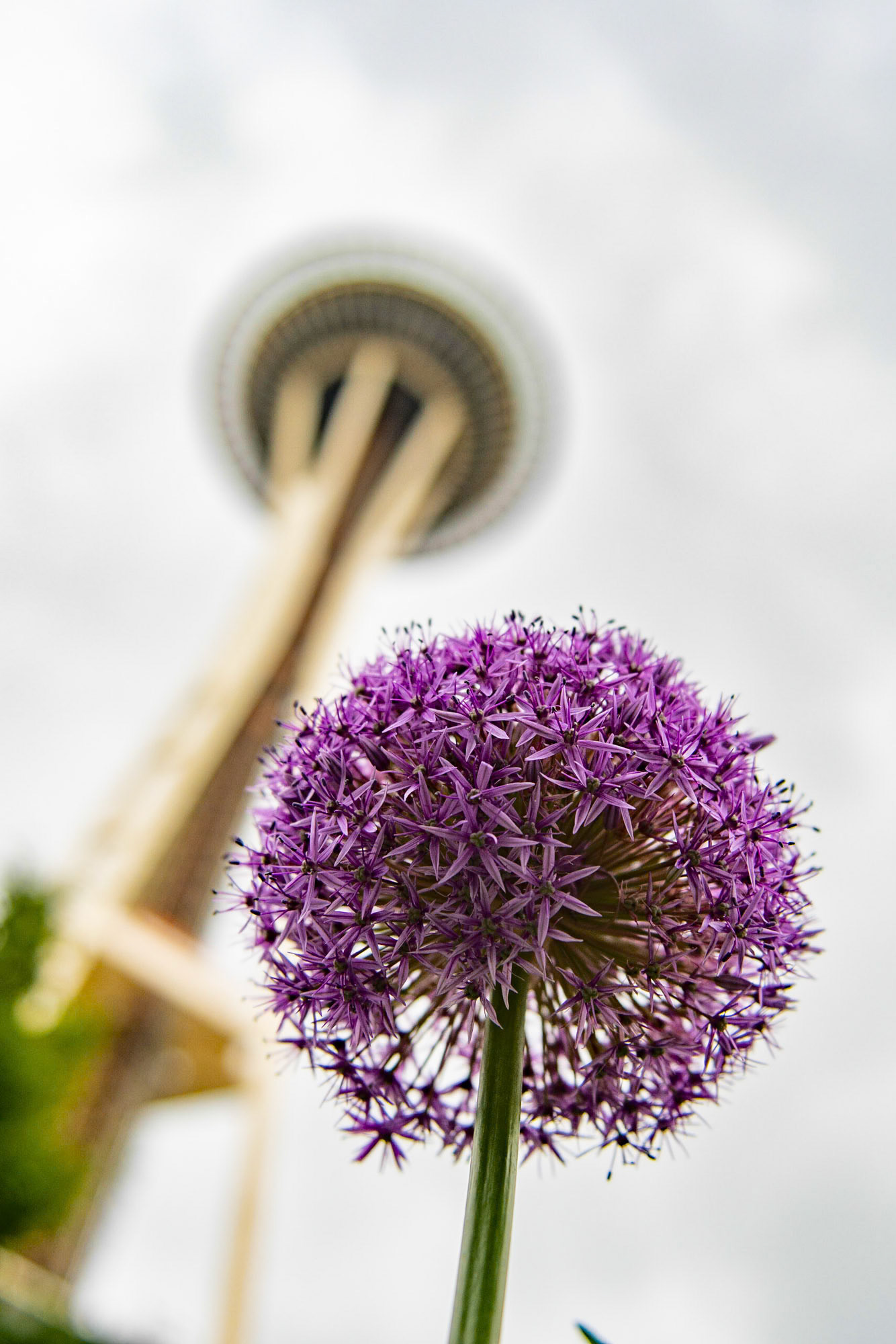 Chihuly Garden and Glass - Seattle - USA