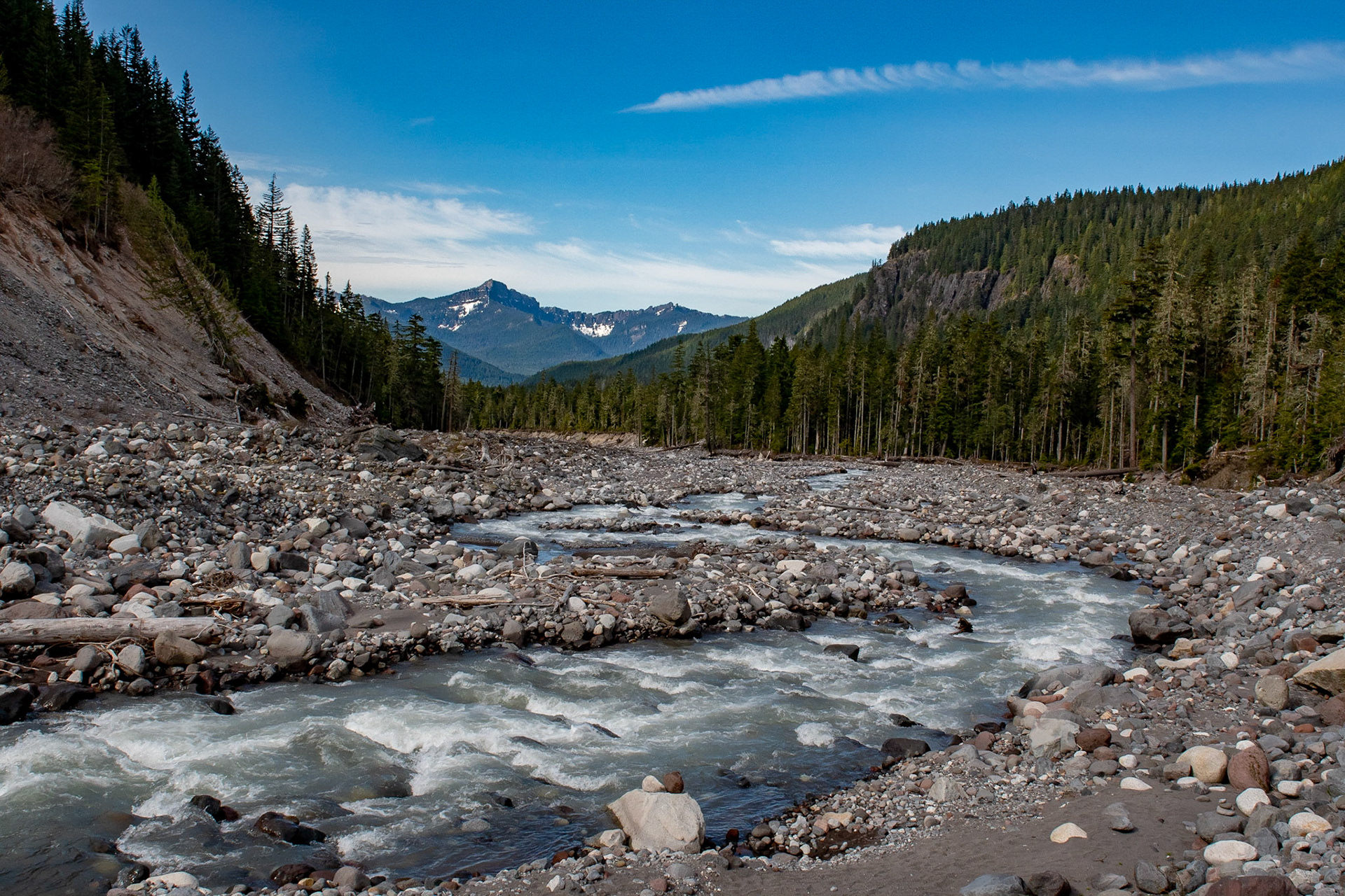 Mt Rainier National Park - Washington - USA