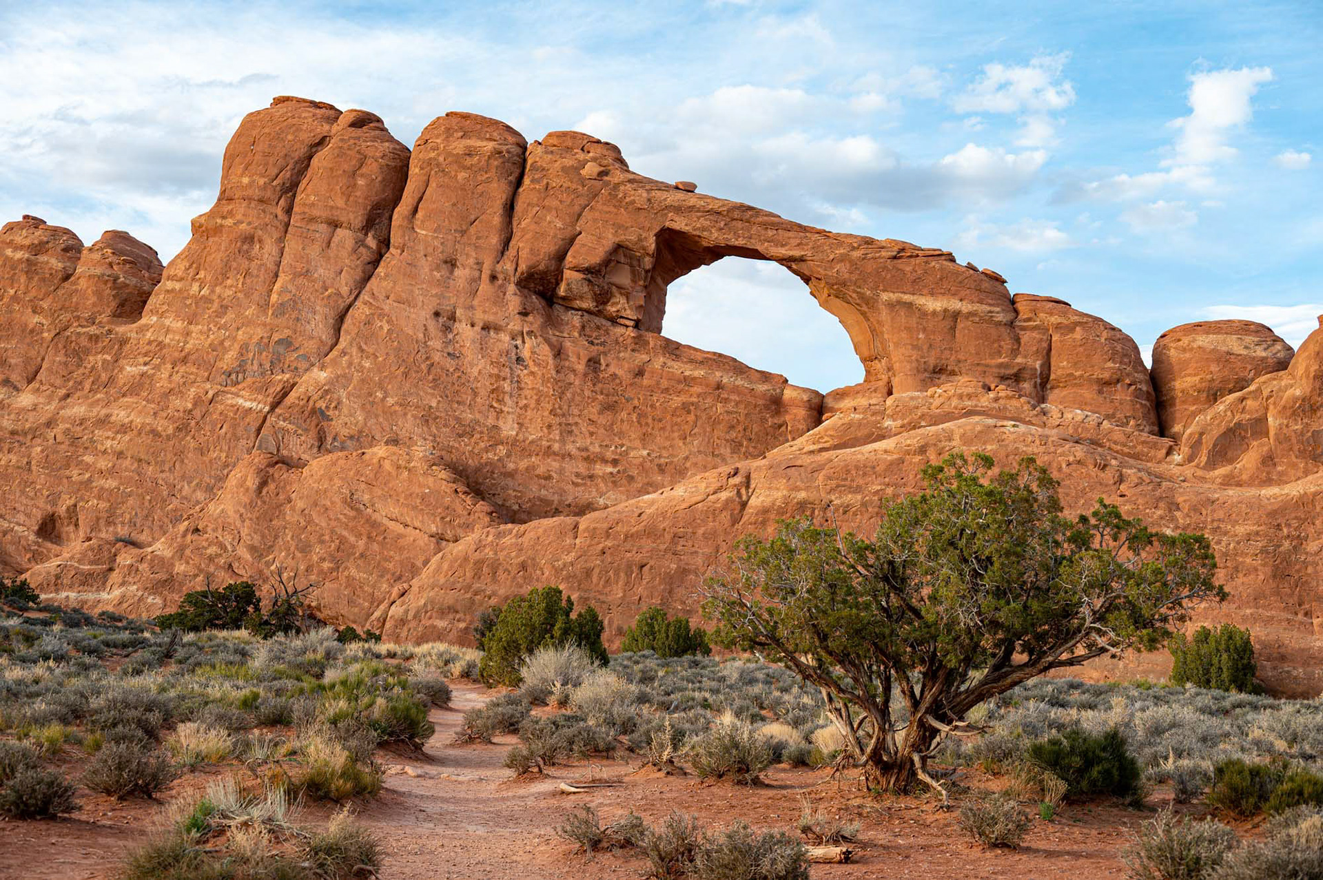 Arches National Park - Utah - USA (2024)