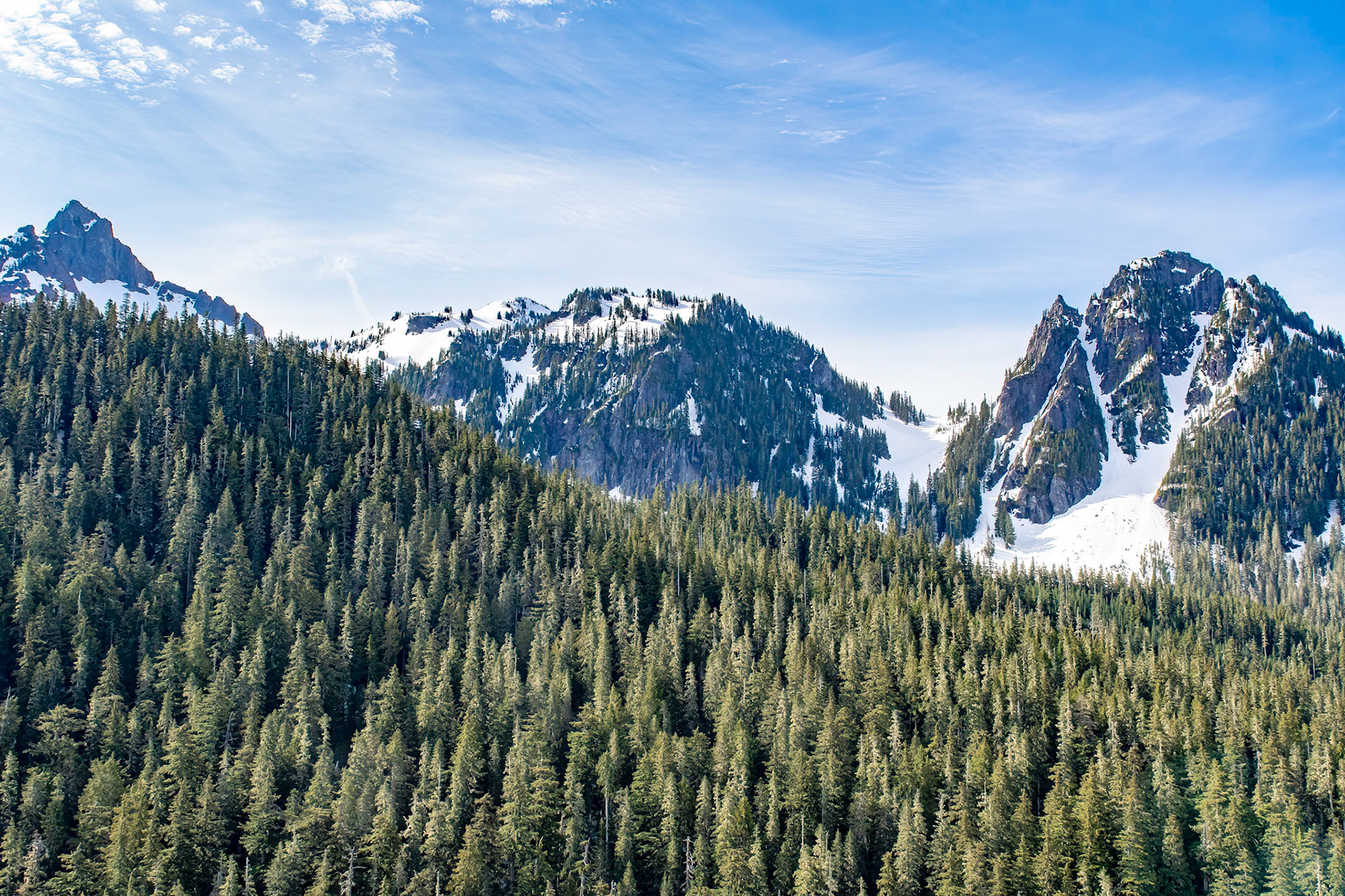 Mt Rainier National Park - Washington - USA