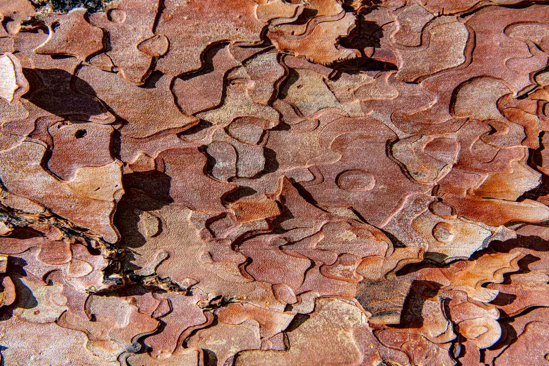 Leavenworth - Washington - USA (2019)