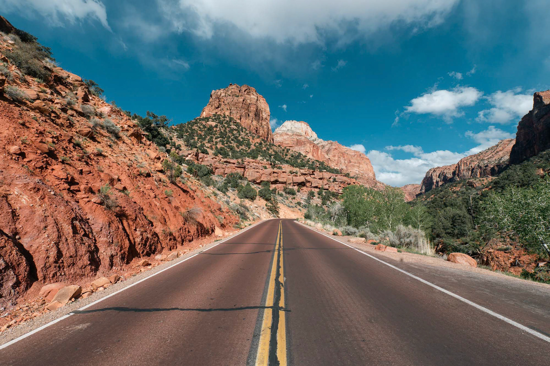 Zion National Park - Utah - USA (2024)