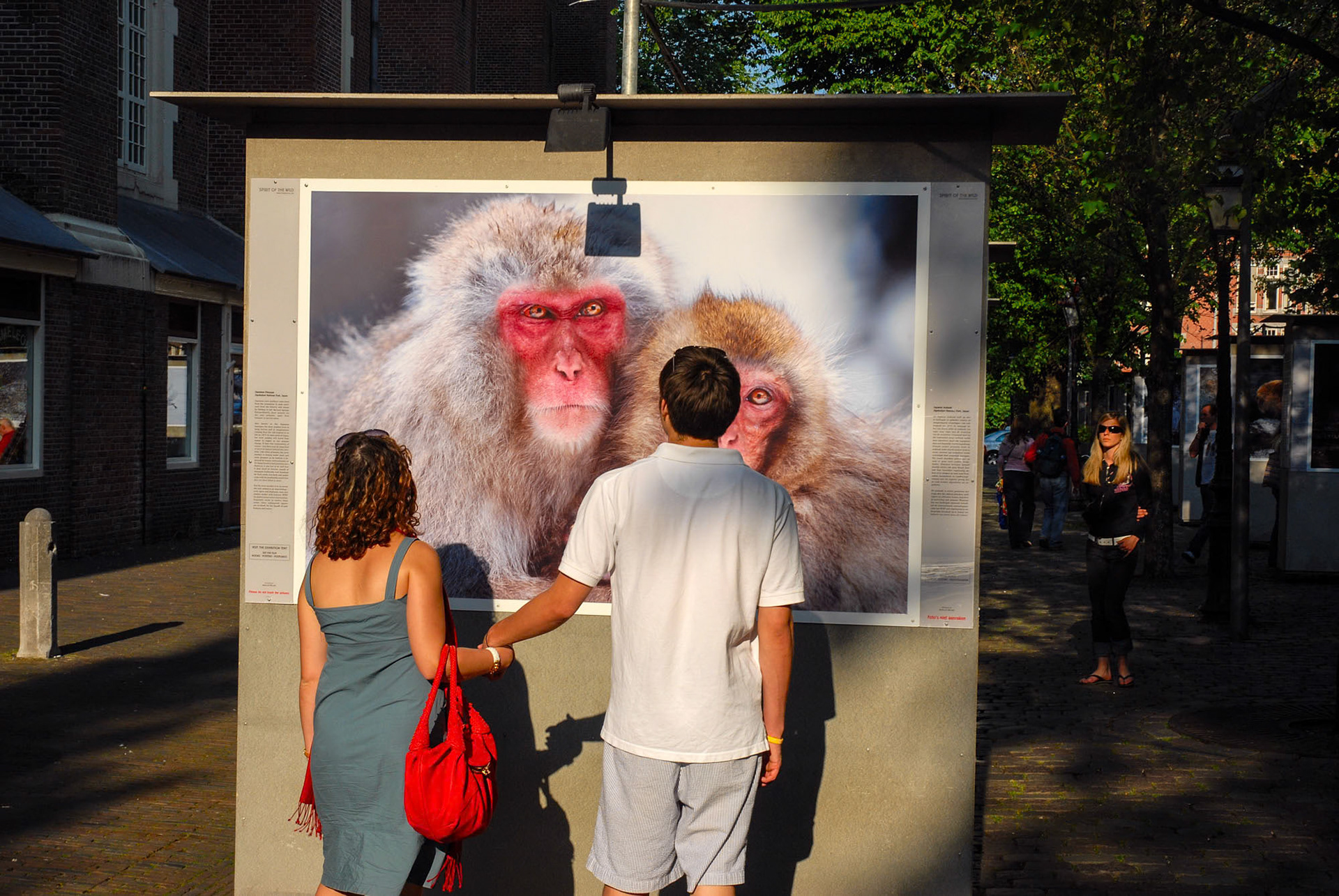 Steve Bloom - Westerkerk - Amsterdam - The Netherlands (2007)