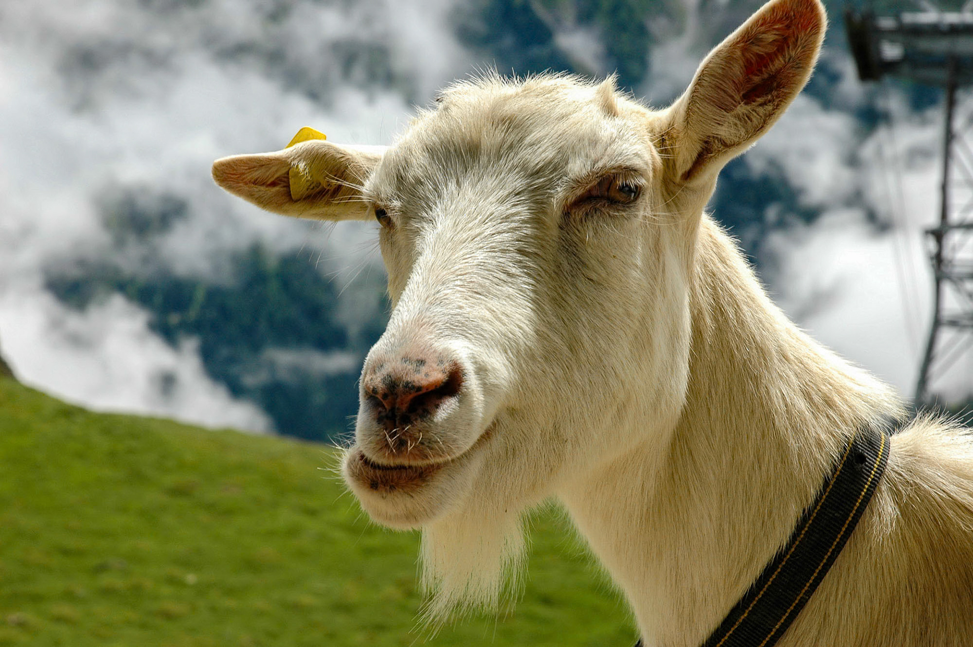 Ischgl - Austria (2006)