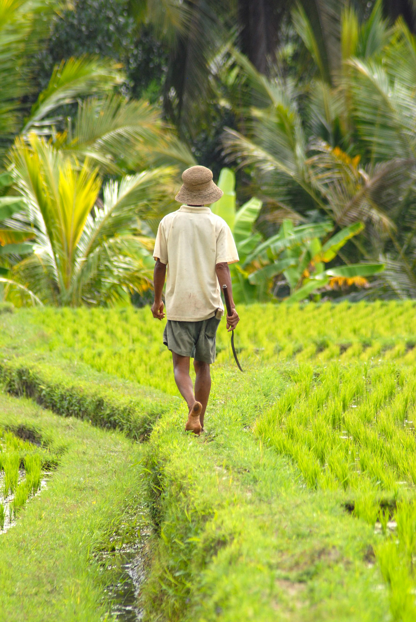 Bali - Indonesia (2007)