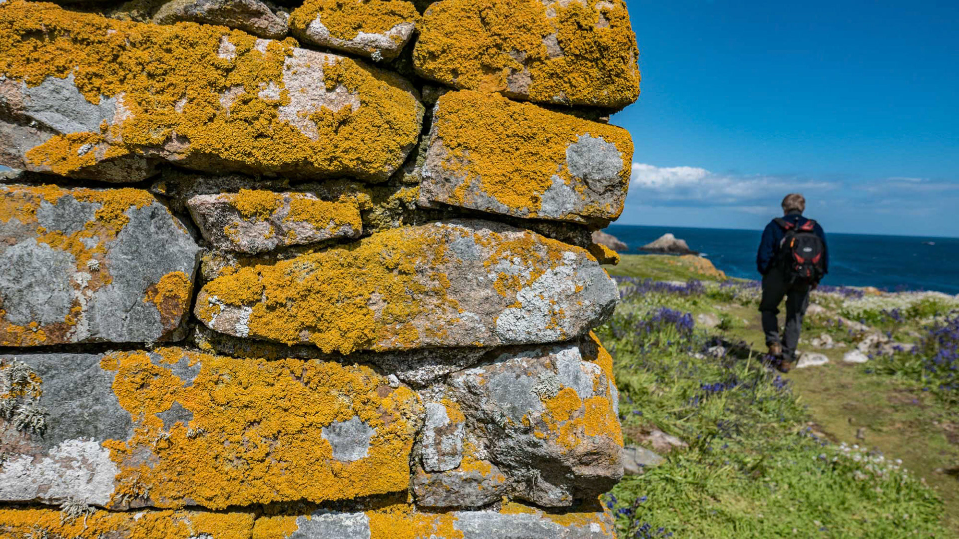 Saltee Island - Ireland (2015)