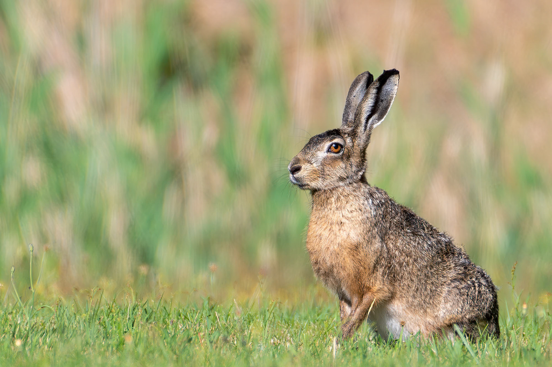 Ouddorp - The Netherlands (2023)