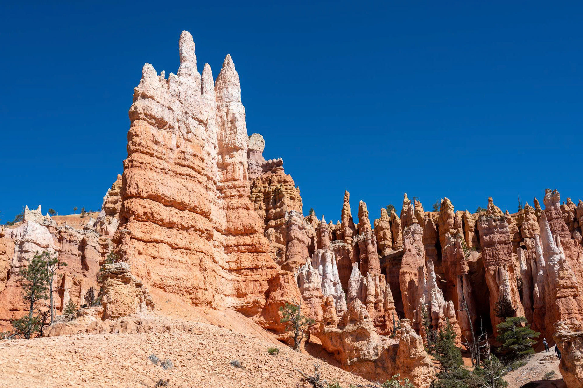 Bryce Canyon National Park - Utah - USA (2024)