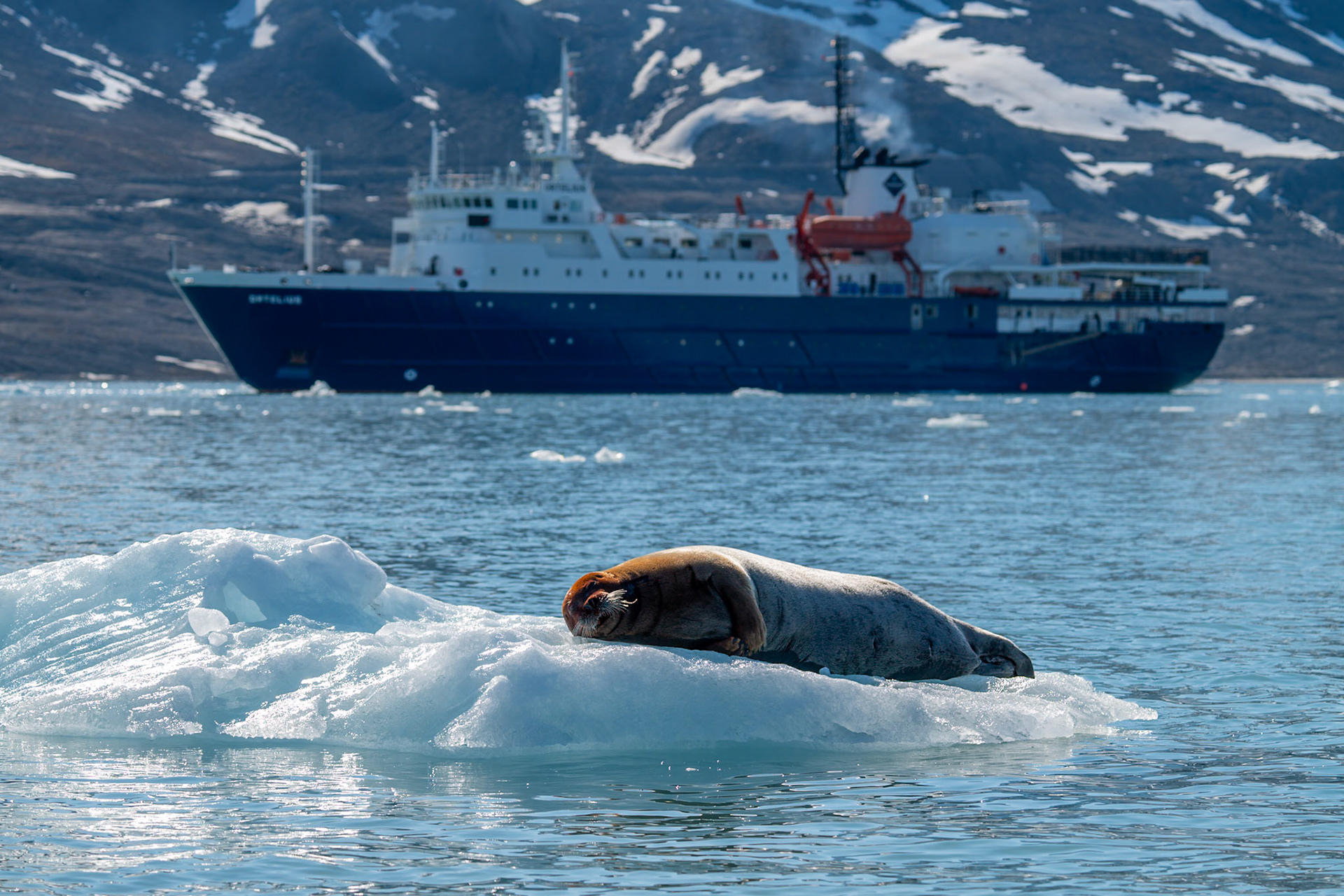 Spitsbergen, Svalbard