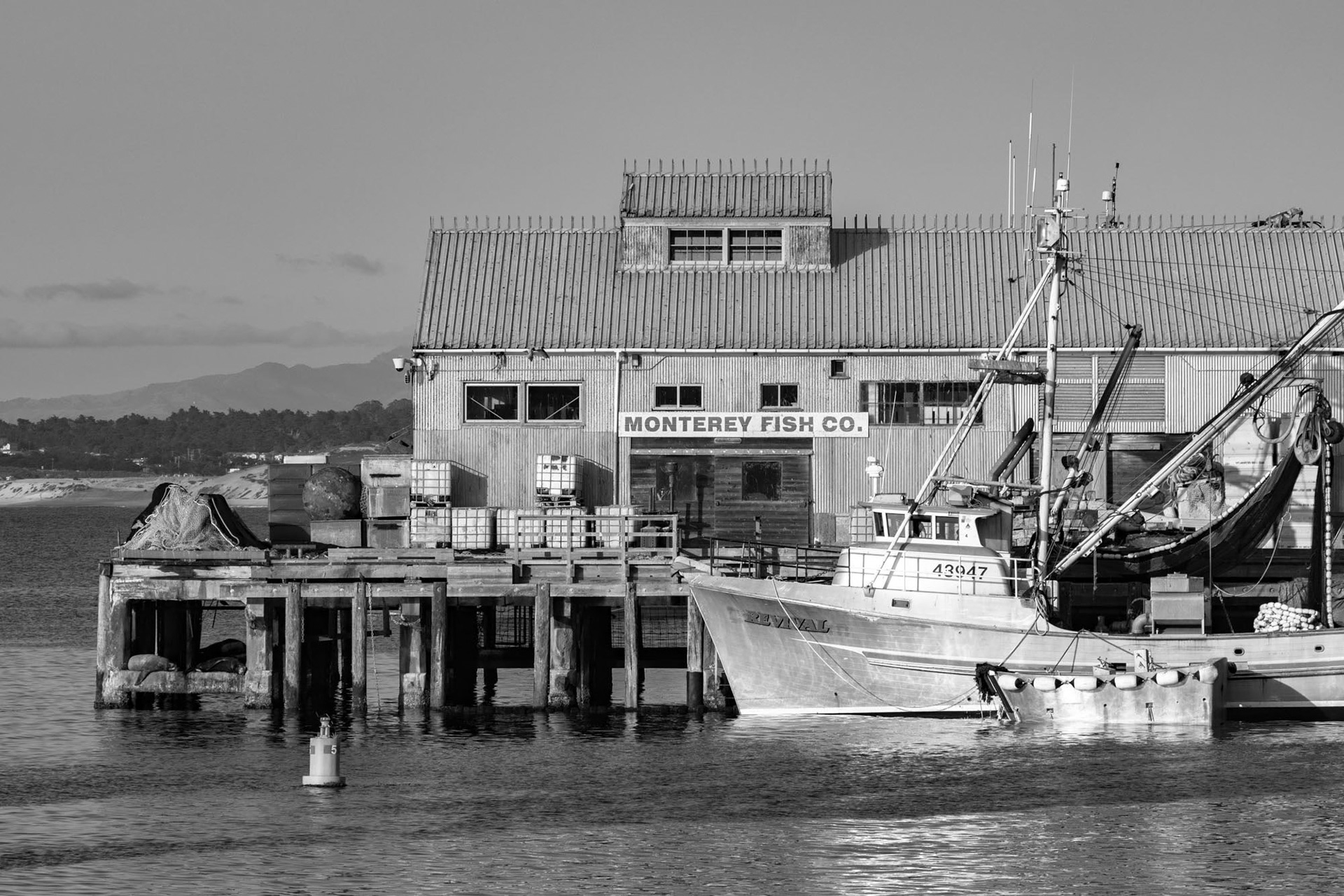 Fisherman's Wharf - Monterey - Califonia - USA (2018)