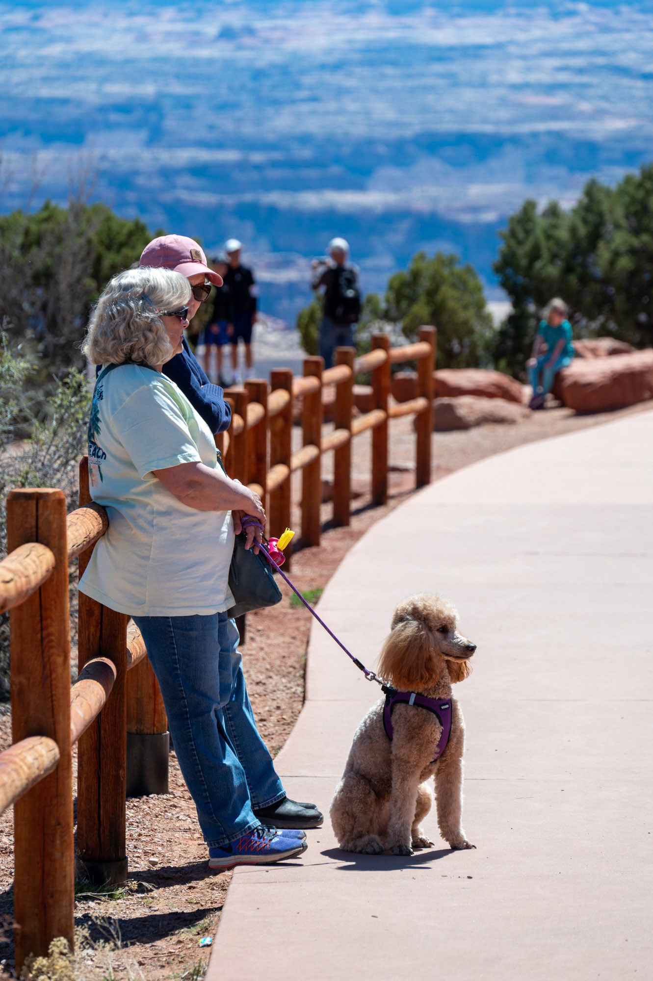 Canyonlands National Park - Utah - USA (2024)