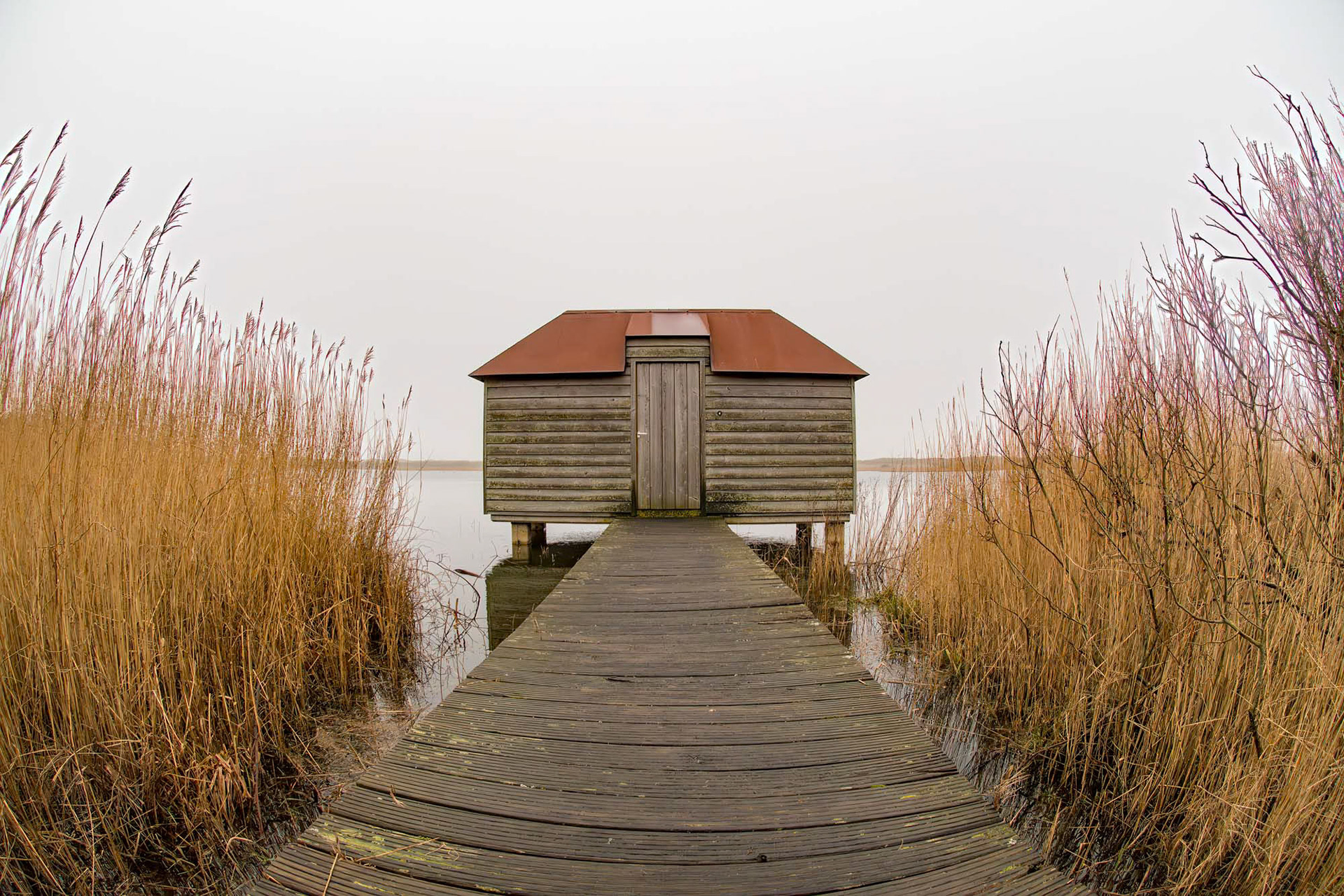 Ameland - The Netherlands (2017)