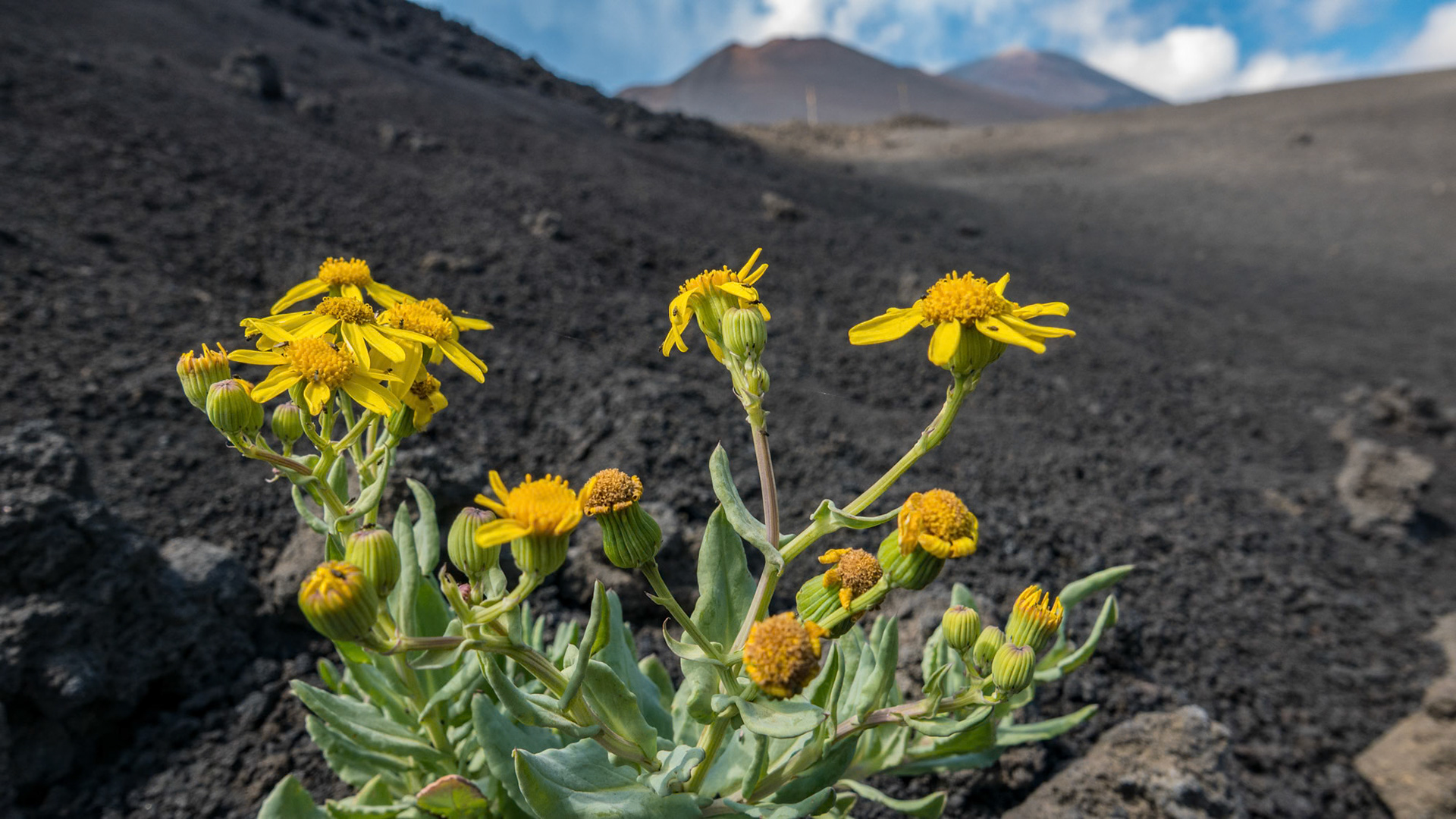 Sicily - Italy (2016)