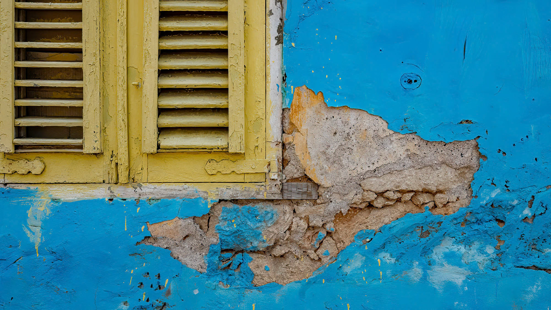 Dog head - Otrobanda -Curaçao (2018)