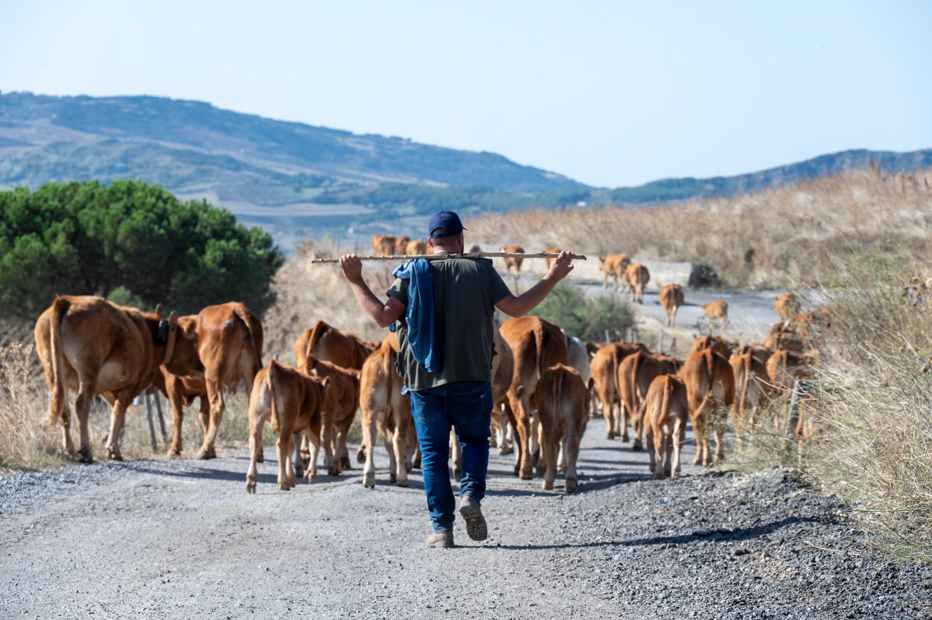 Petralia - Siciliy - Italy (2023)