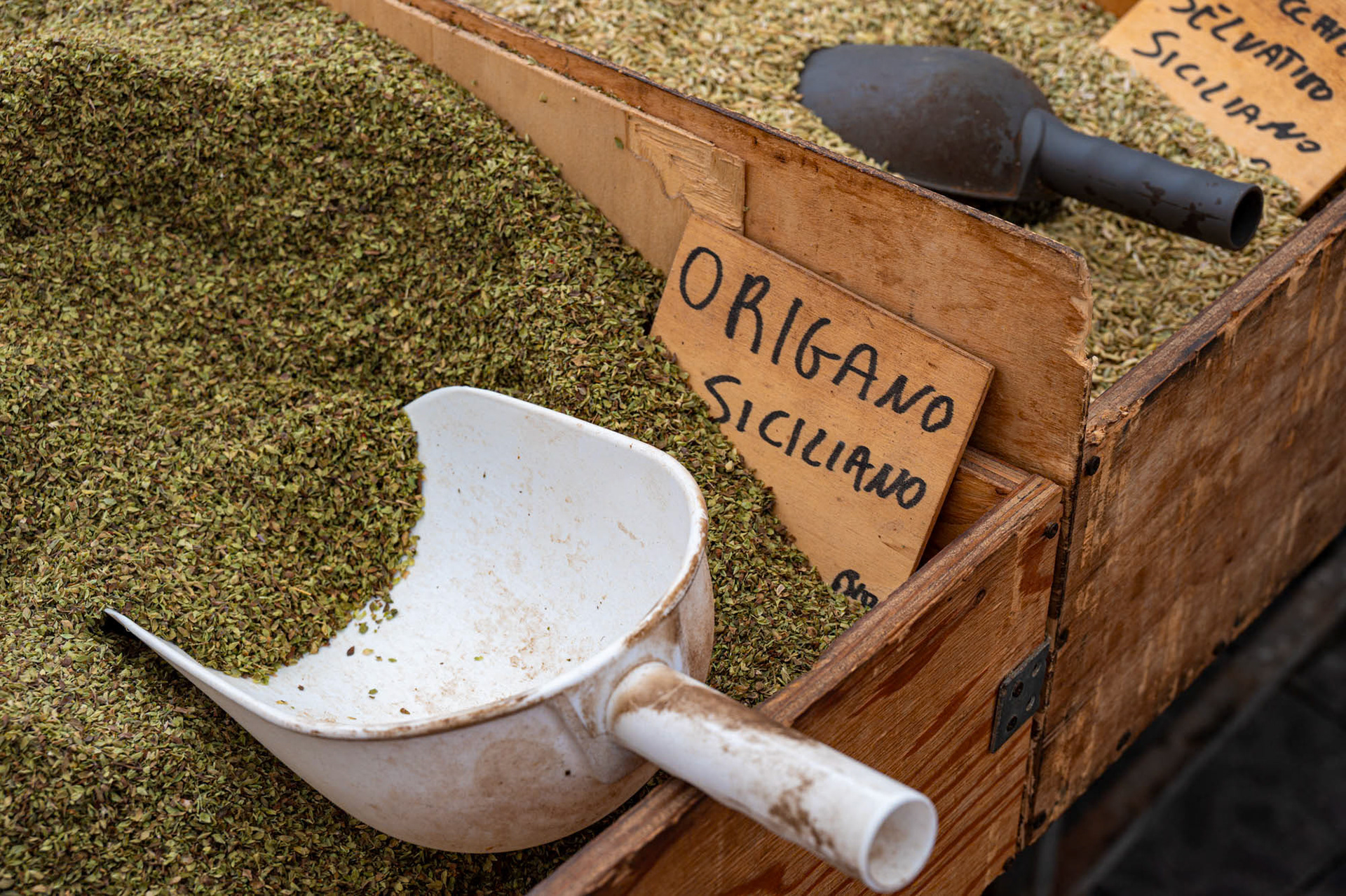 Siracusa - Siciliy - Italy (2023)