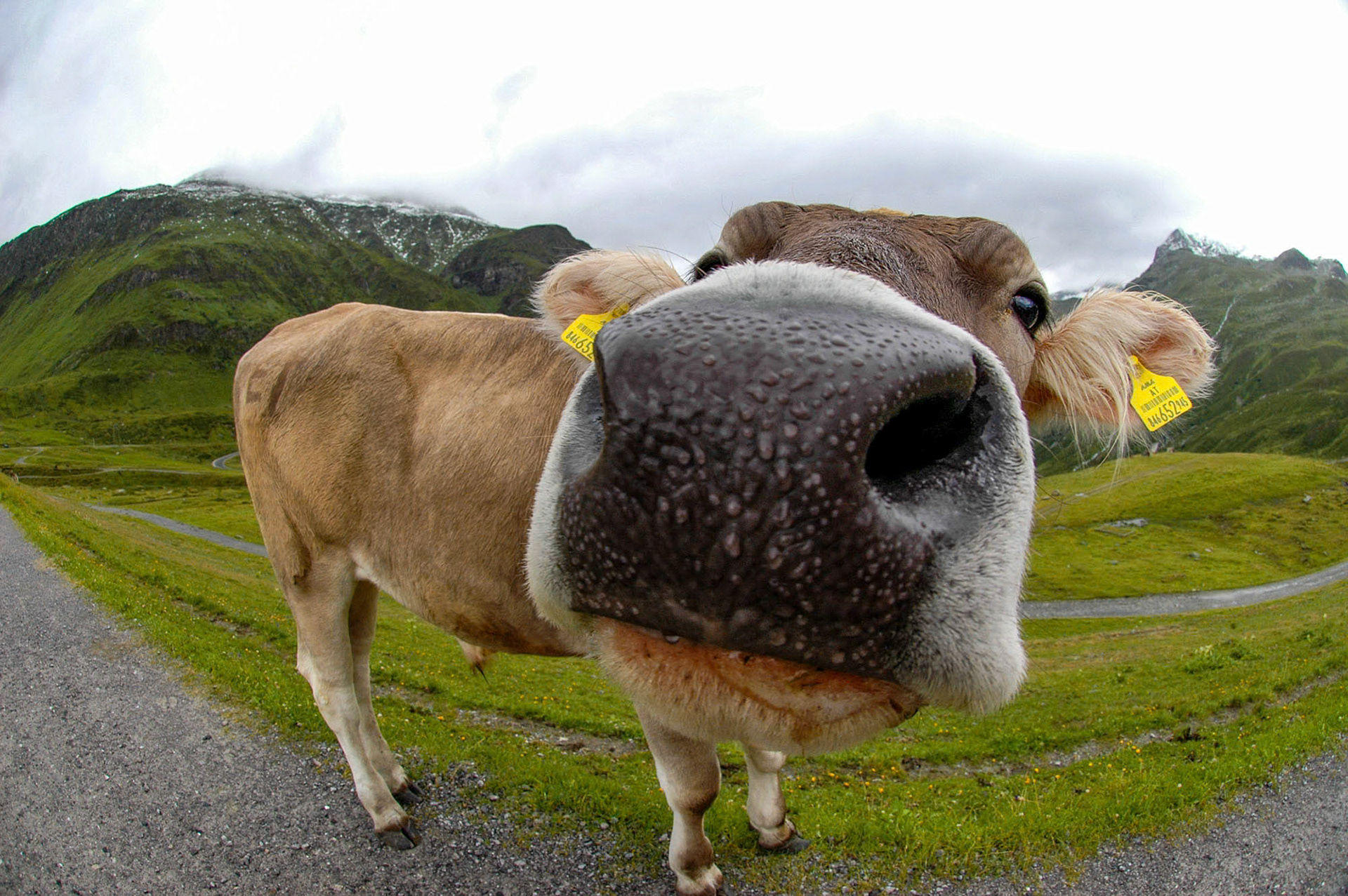 Ischgl - Austria (2006)