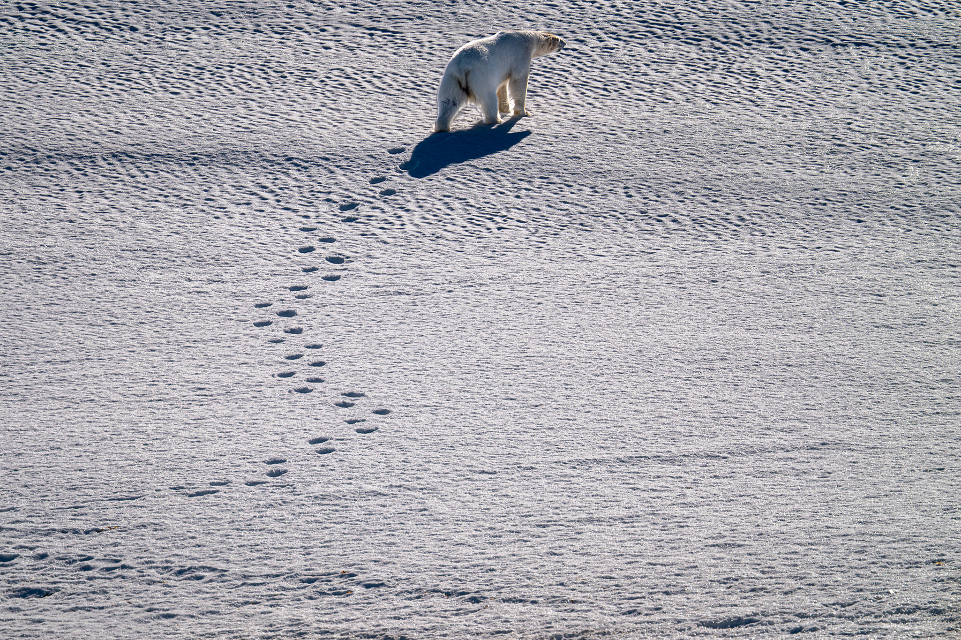 Spitsbergen, Svalbard
