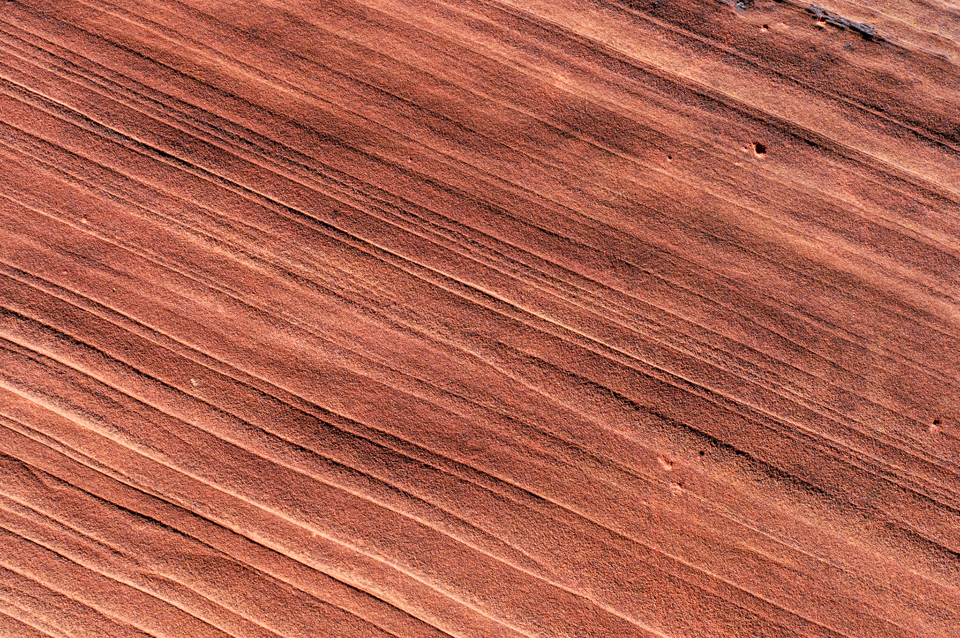 Wire Pass Trailhead - Utah - USA (2024)