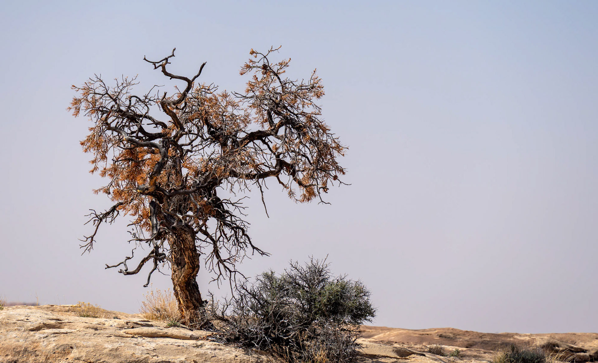 Canyonlands National Park - Utah - USA (2024)