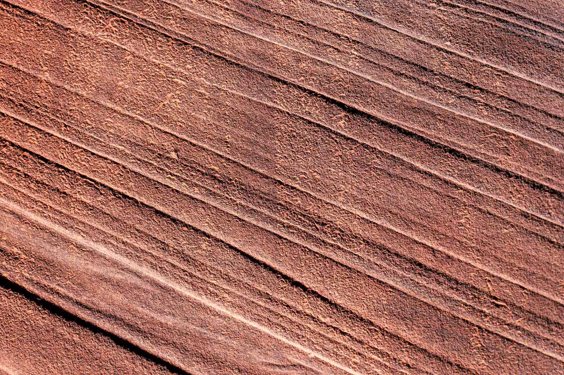 Wire Pass Trailhead - Utah - USA (2024)