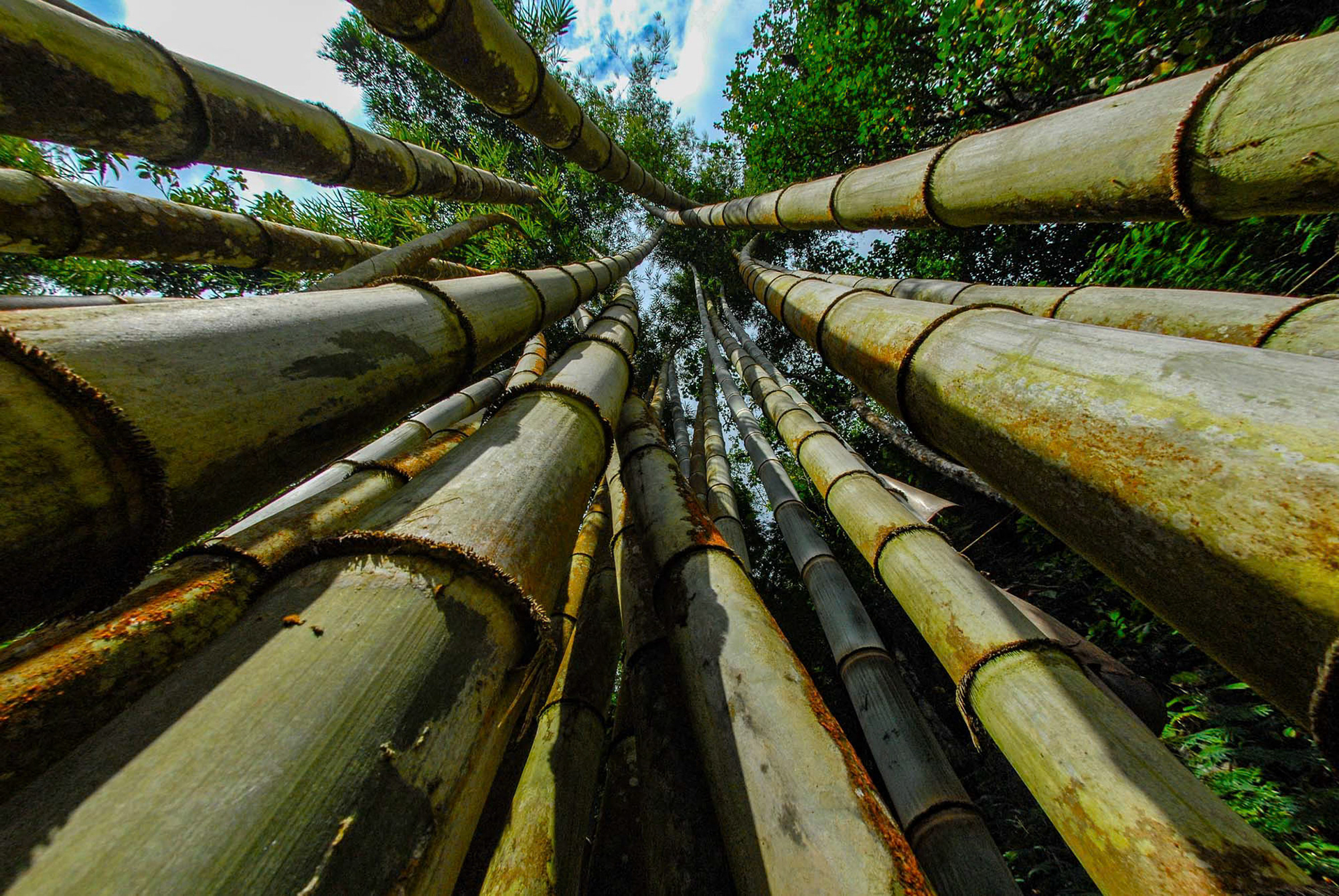 Bali - Indonesia (2007)