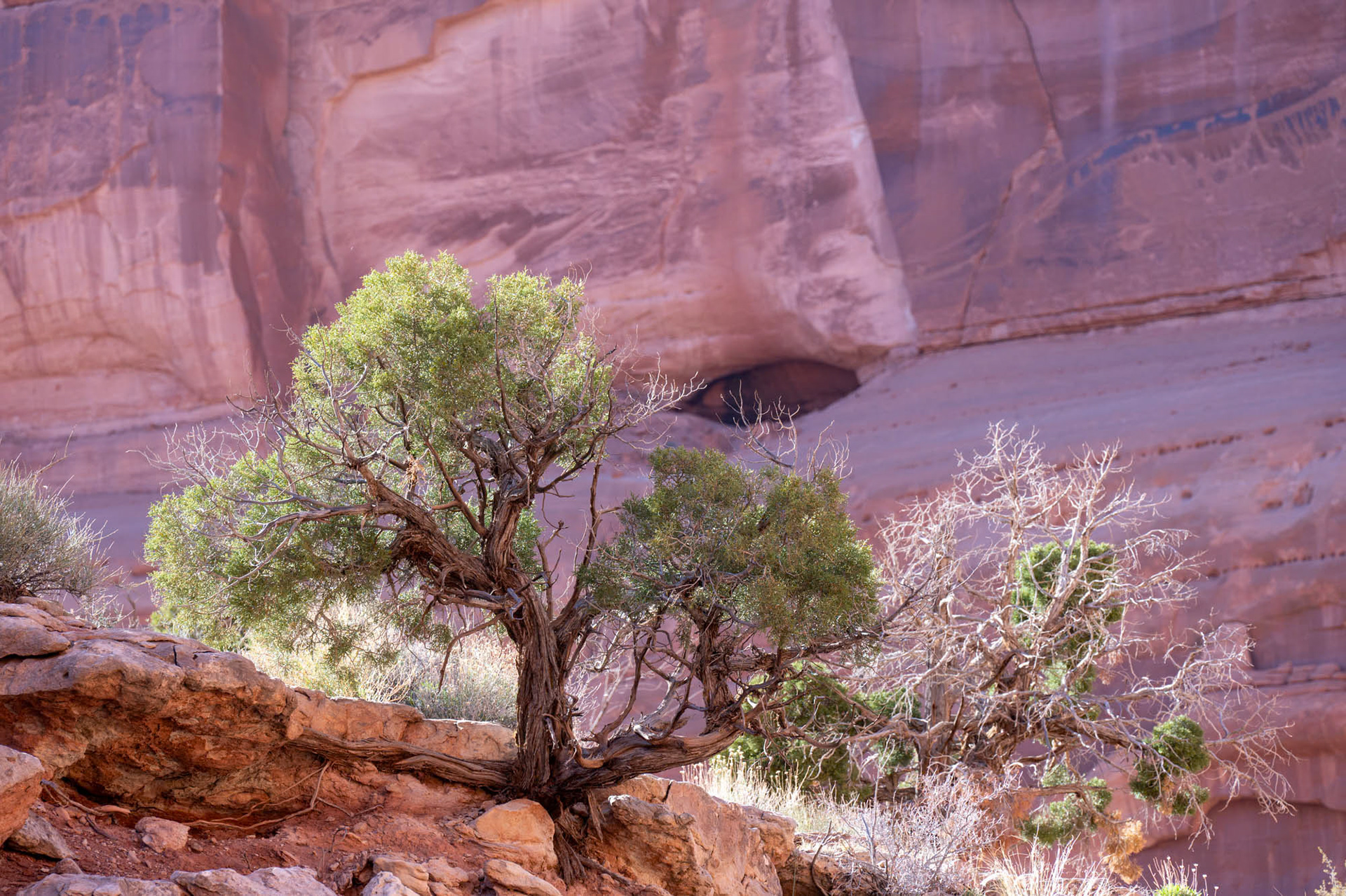 Arches National Park - Utah - USA (2024)