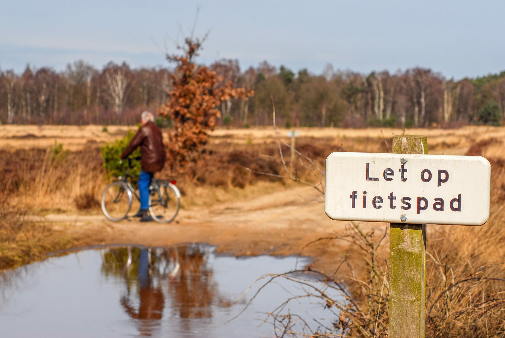 Ermelo - The Netherlands (2008)