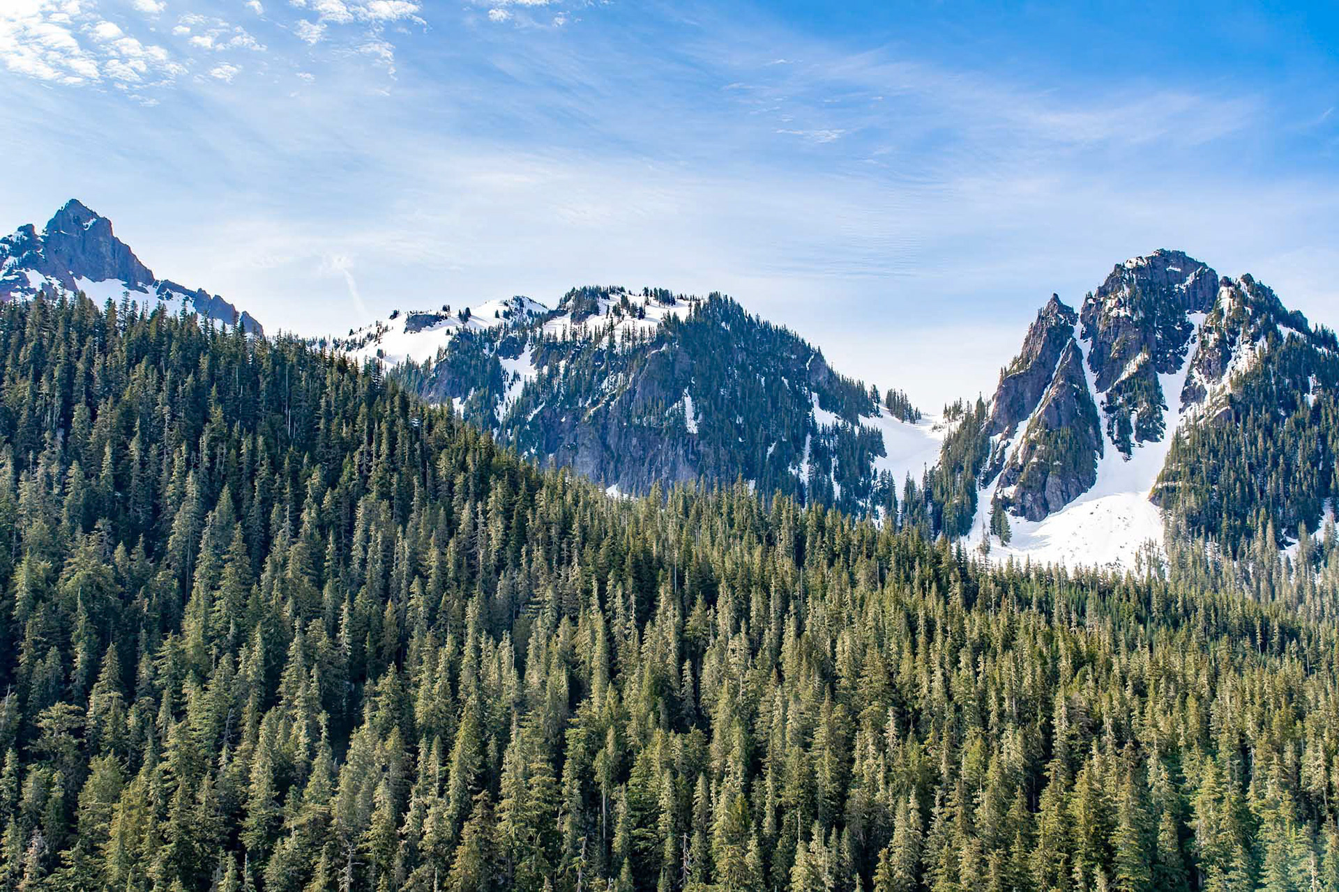 Mt Rainier National Park - Washington - USA (2019)