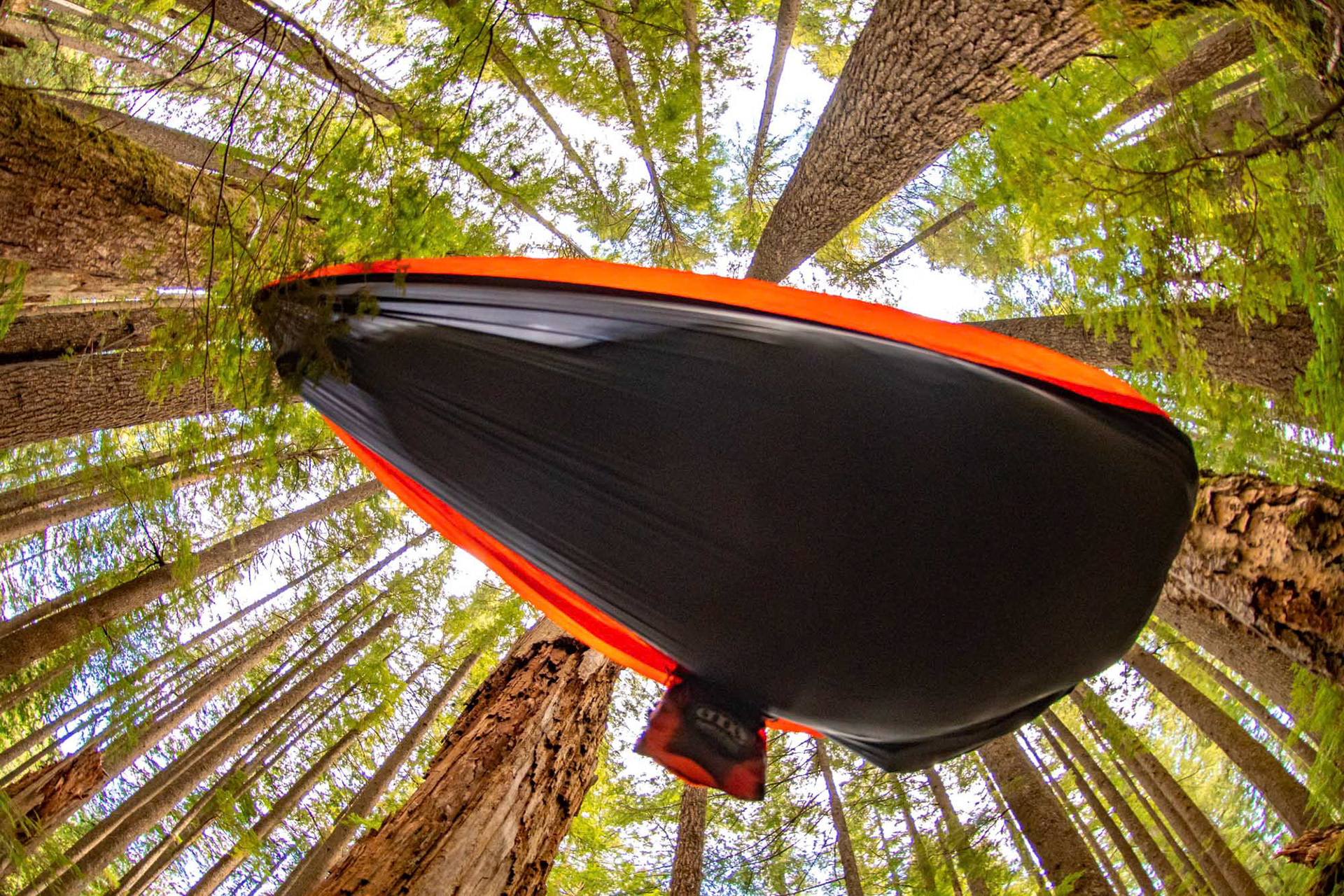 Mt Rainier National Park - Washington - USA (2019)