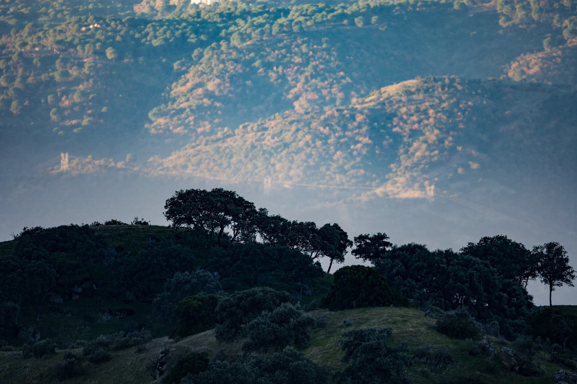 Andújar - Spain (2017)