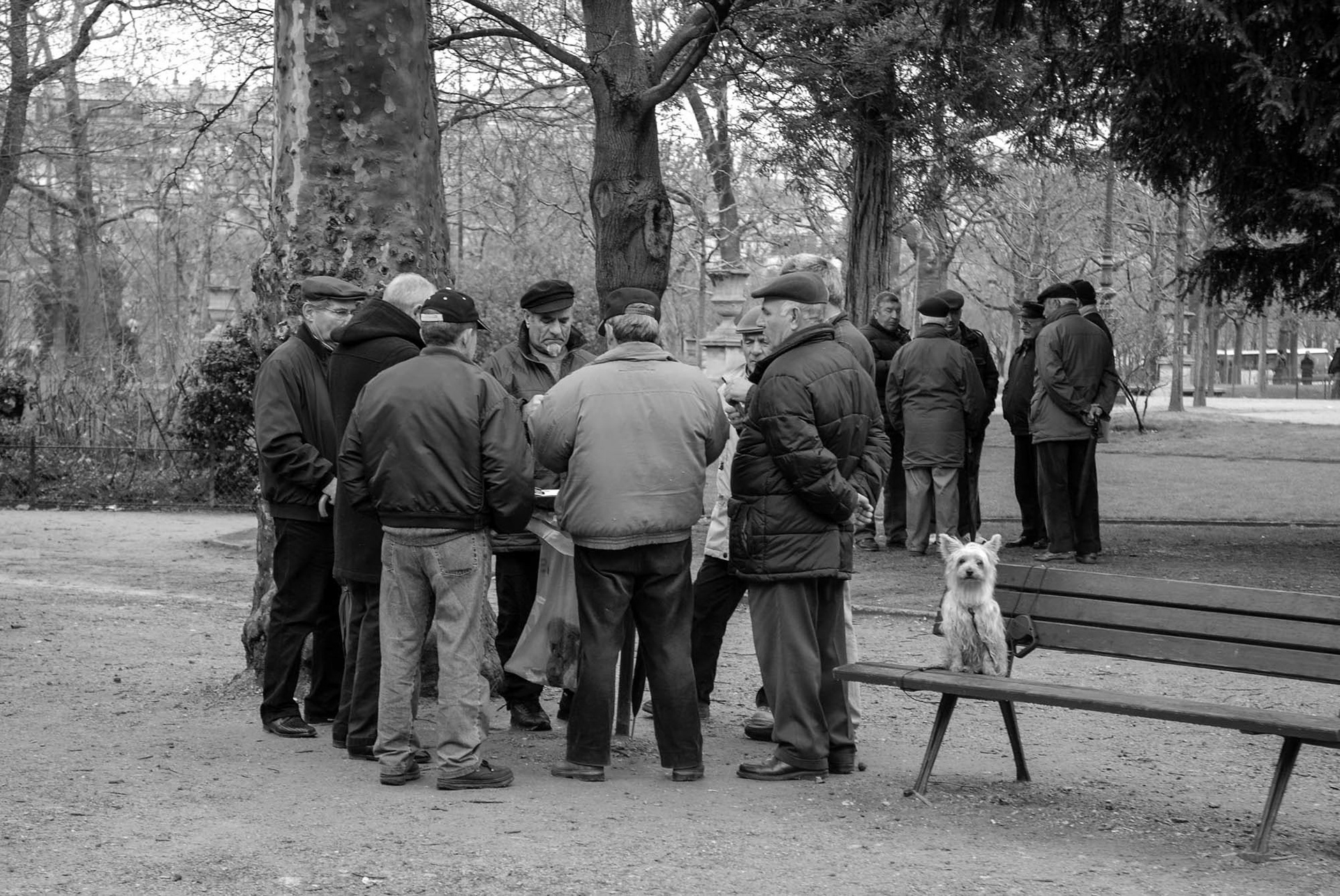 Eiffel Tower - Paris - France (2008)