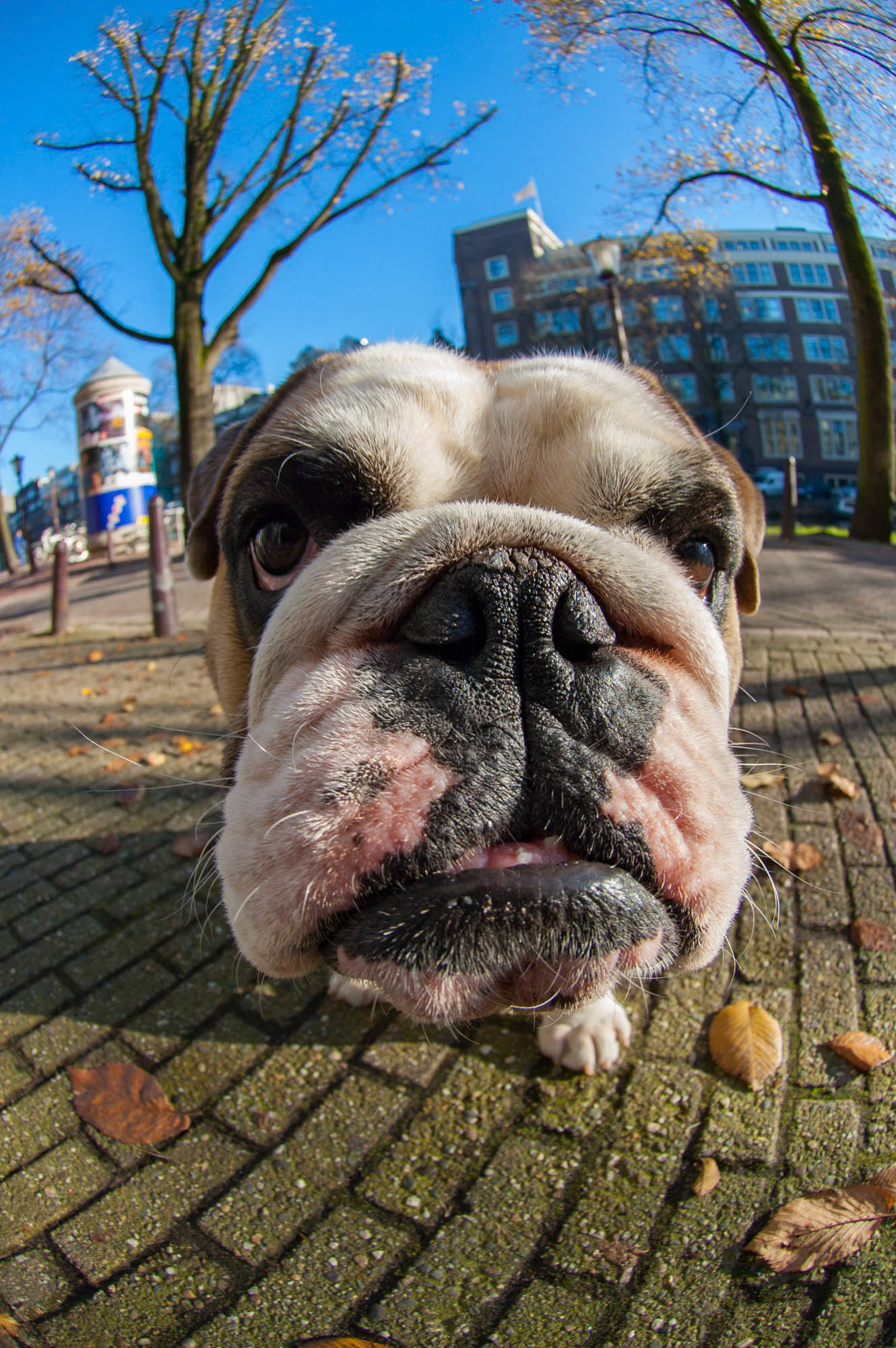 Max - Amsterdam - The Netherlands (2006)