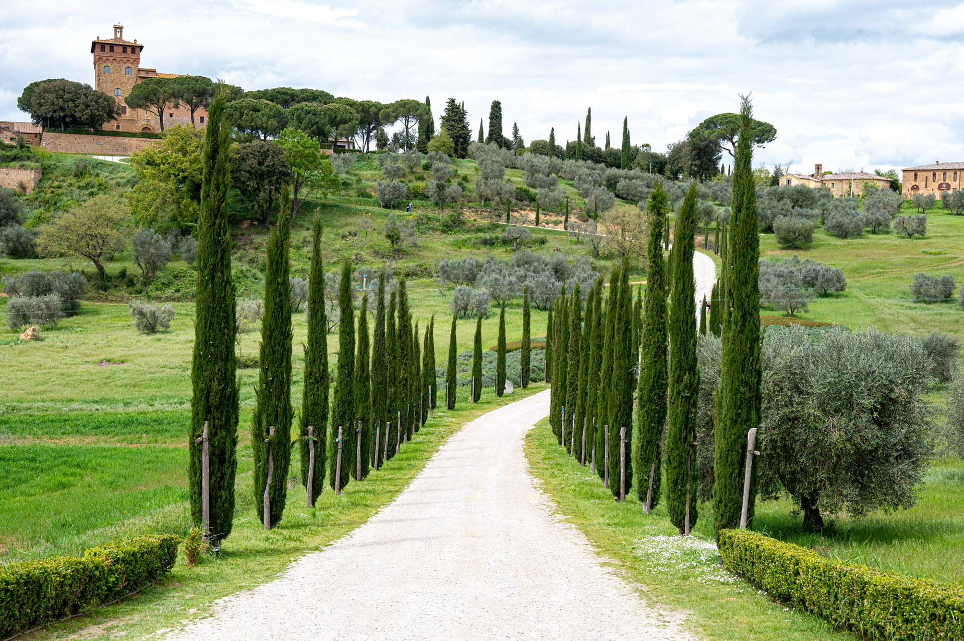 Pienza - Tuscany  - Italy (2025)