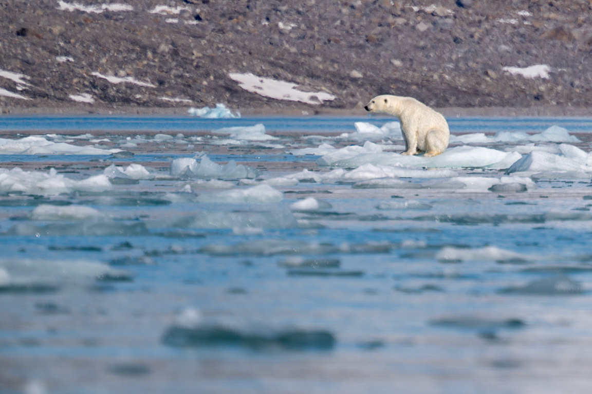 Spitsbergen, Svalbard
