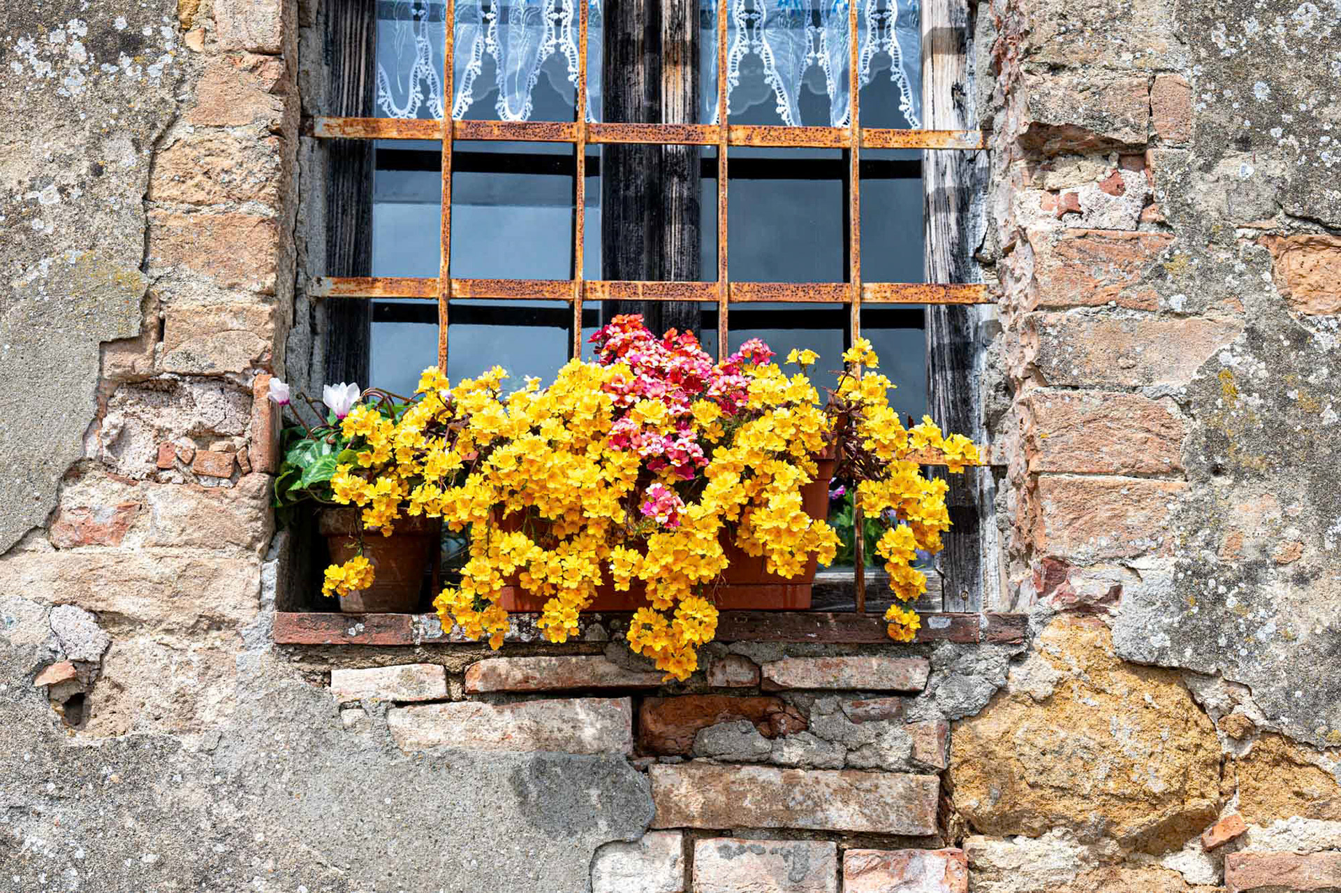 - Tuscany  - Italy (2025)