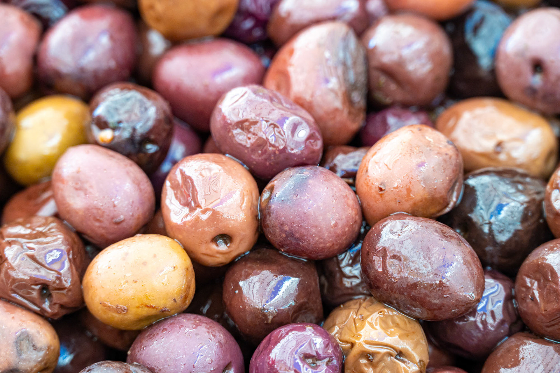 Olives - Siracusa - Siciliy - Italy (2023)