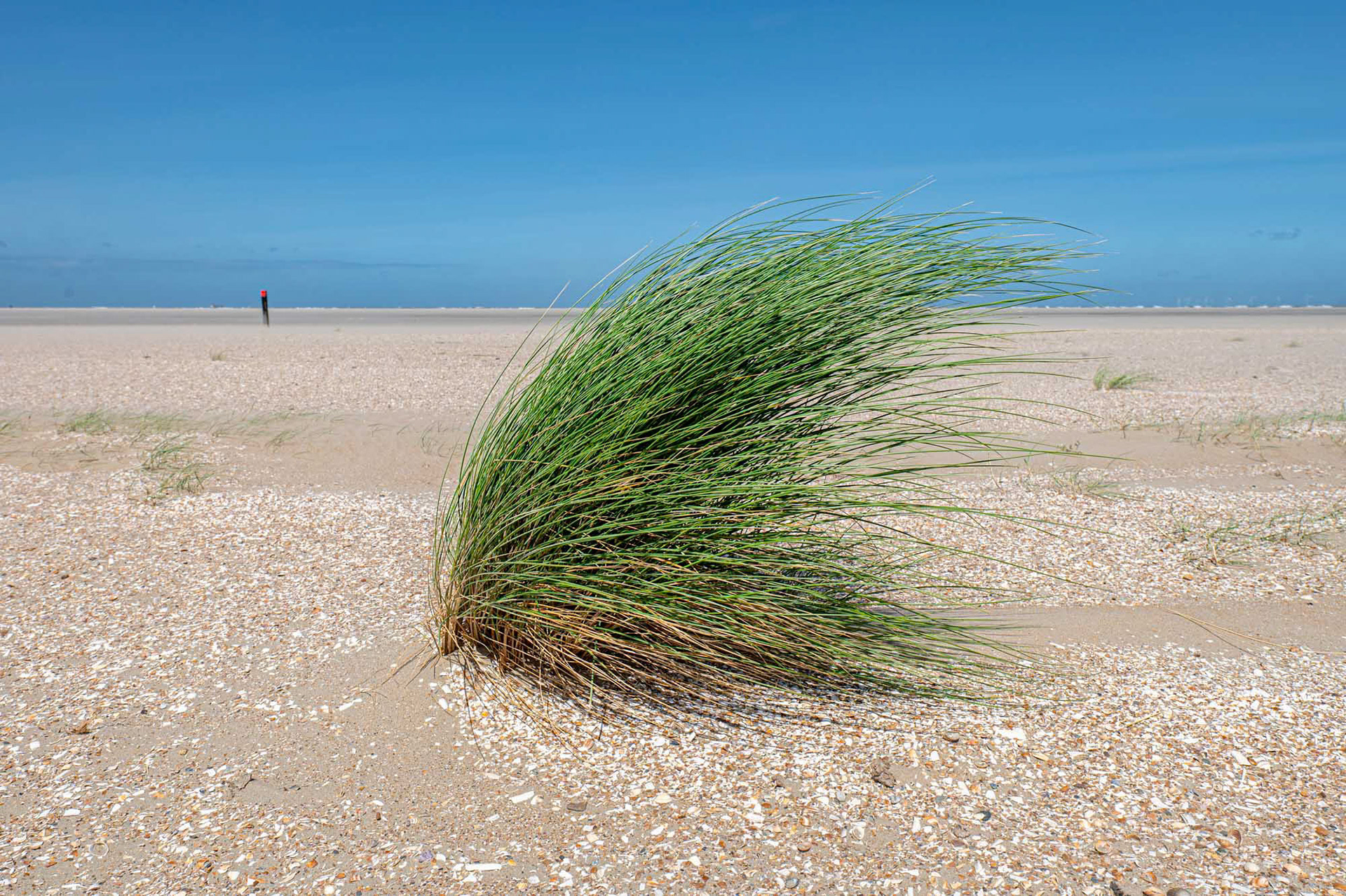 Ouddorp - The Netherlands (2023)