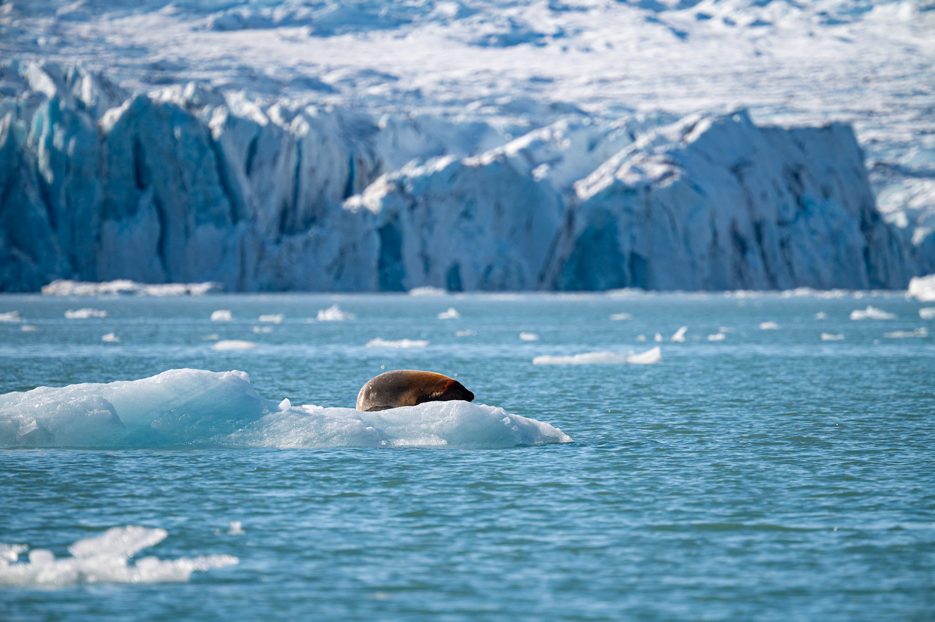 Liefdeflord - Monacobreen - Spitsbergen - Norway