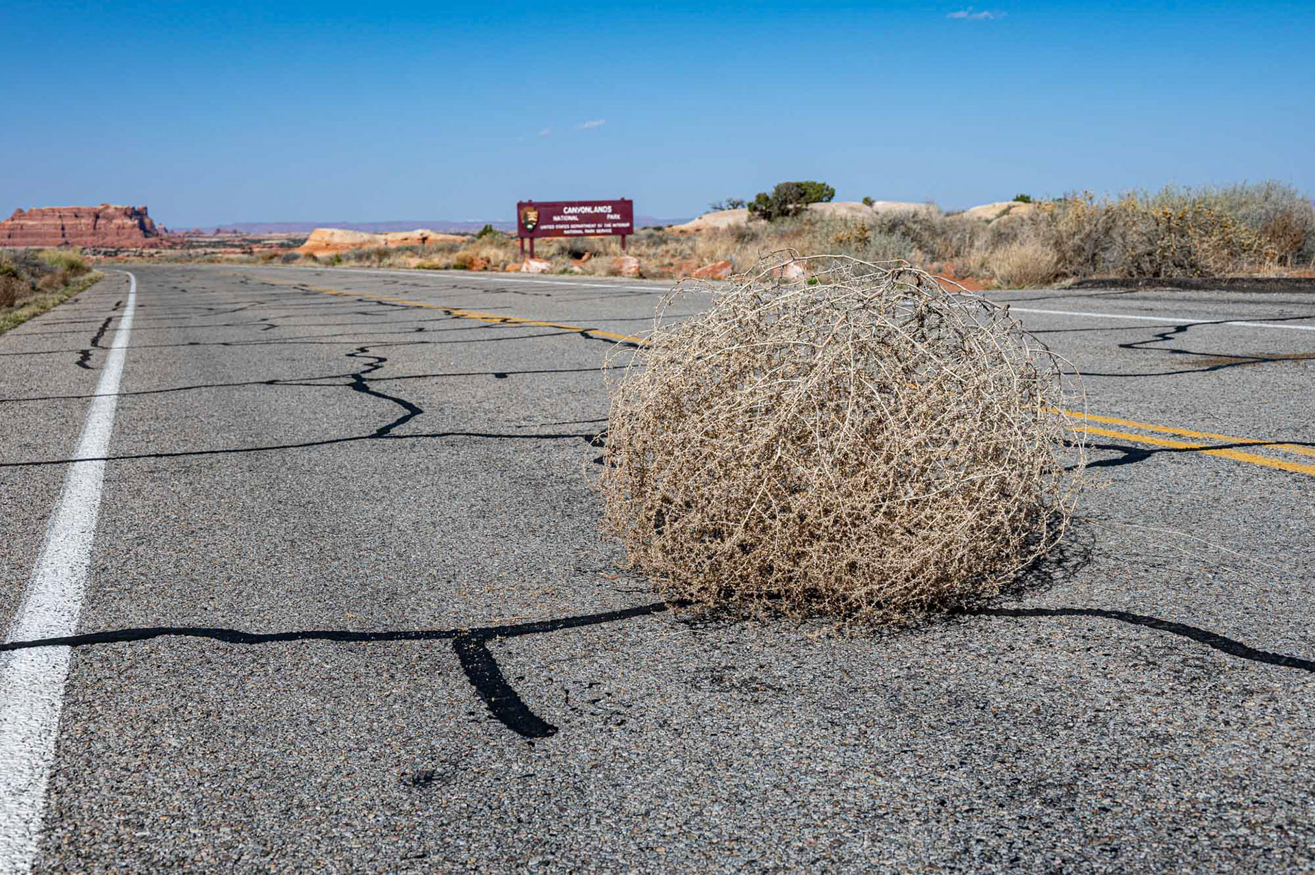 Canyonlands National Park - Utah - USA (2024)